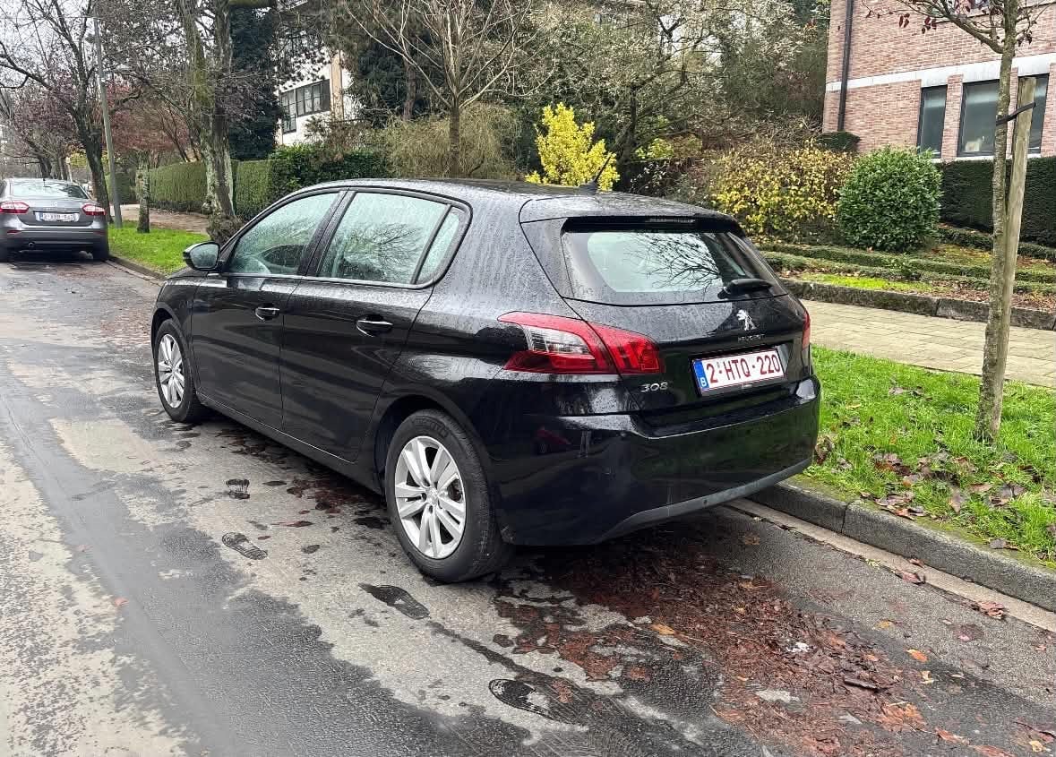 Peugeot 308 avec GPS