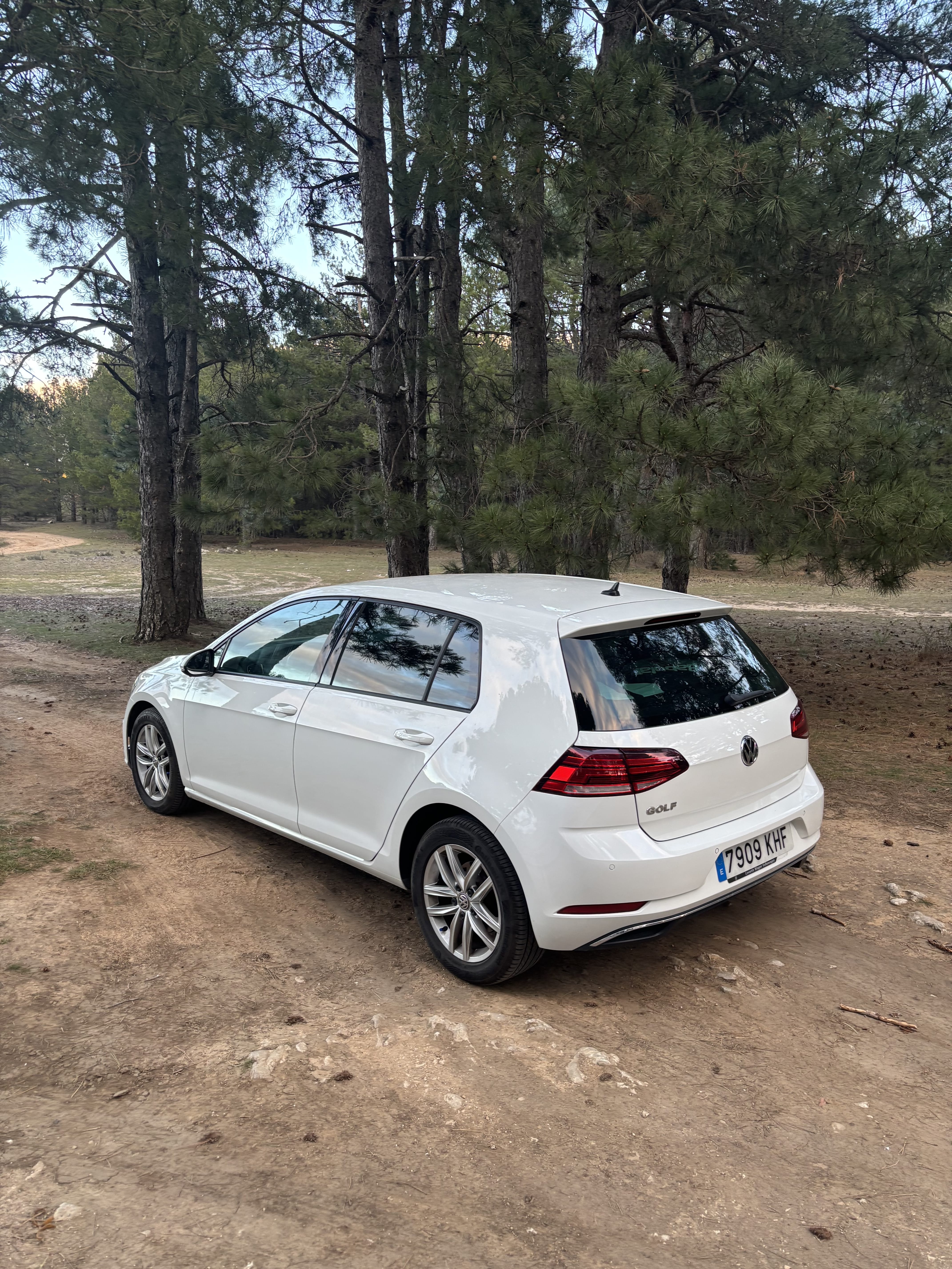 Volkswagen Golf 2.0 150 cv con Dashcam