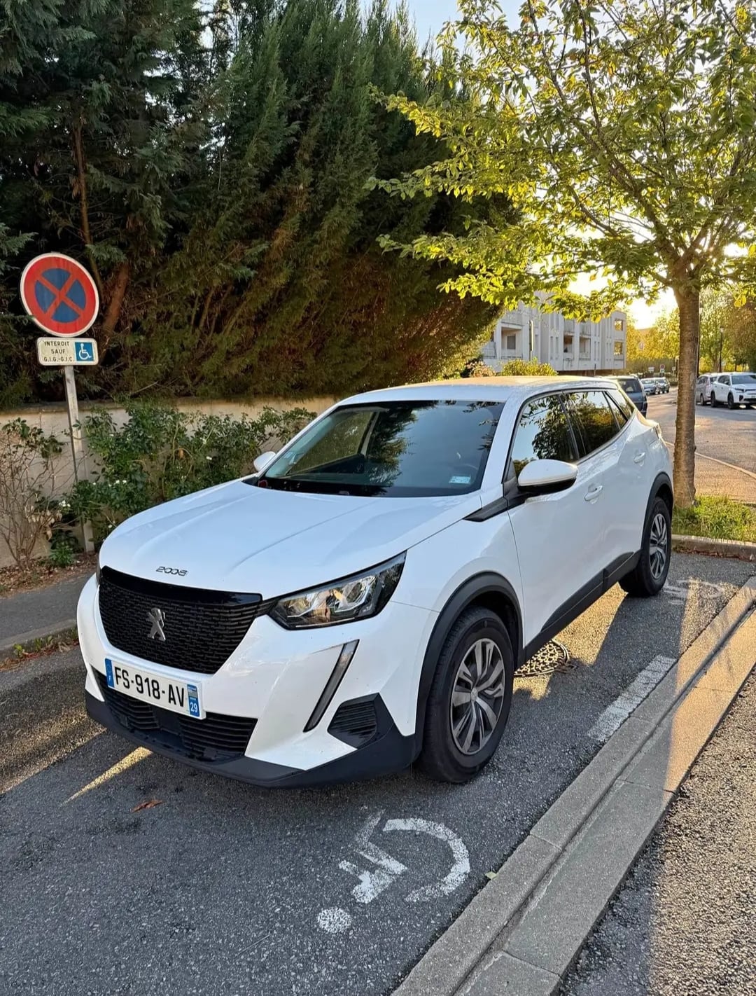 Peugeot 2008, 2020, Diesel