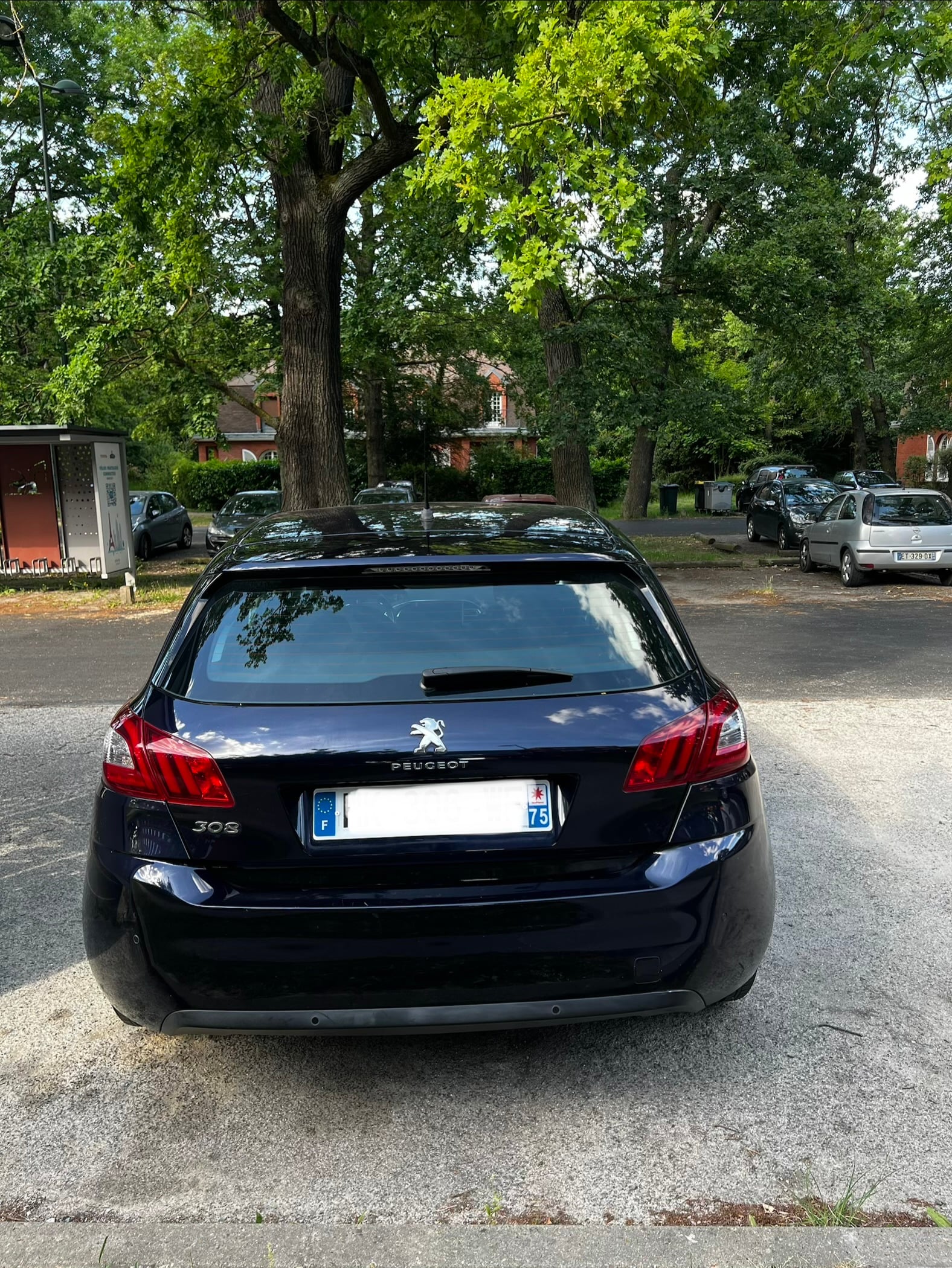 Peugeot 308 with Cruise control