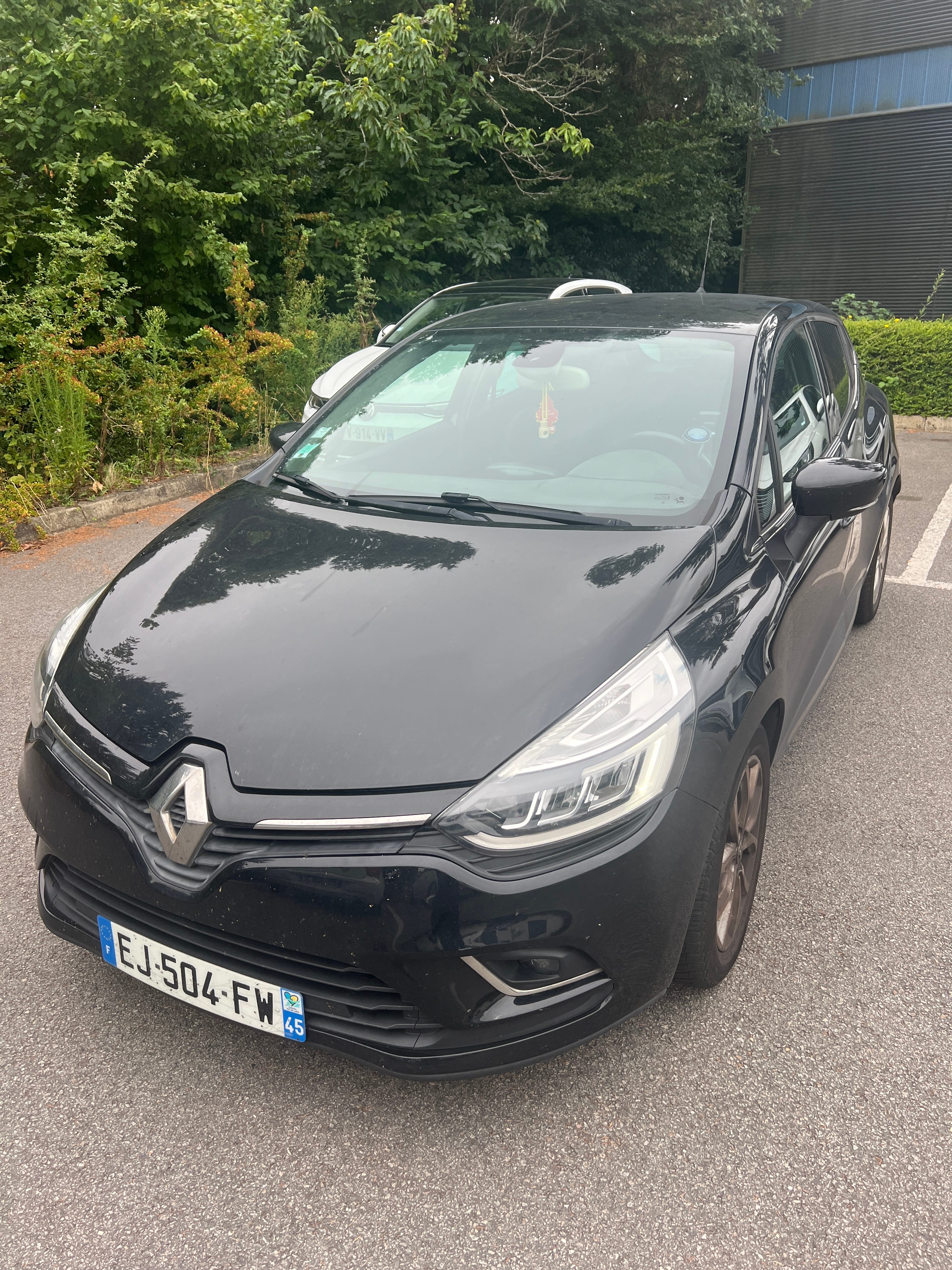 Renault Clio, 2017, Diesel