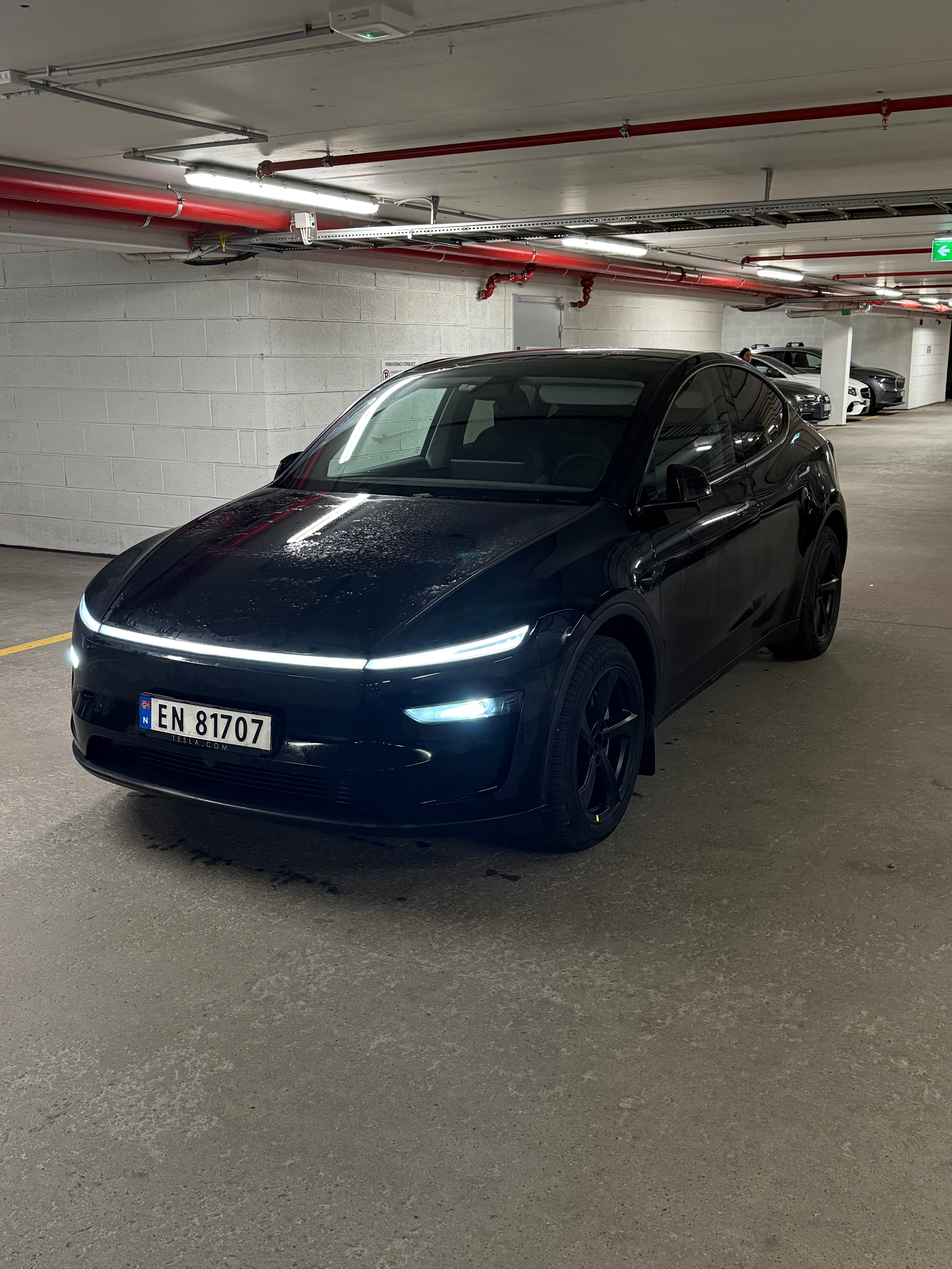 Tesla Model Y Long Range, 2025, Elektro, Automatik