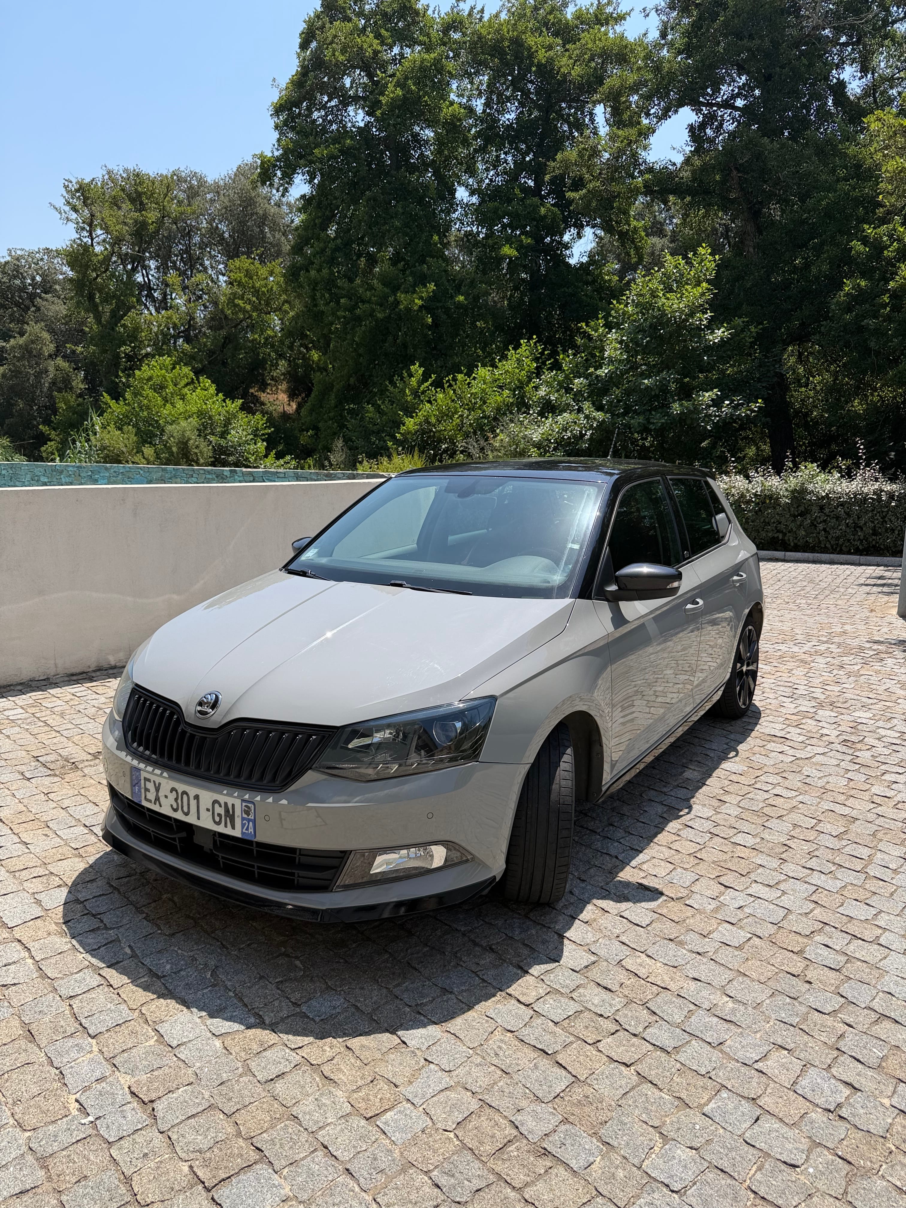Skoda Fabia, 2018, Essence 95, automatique