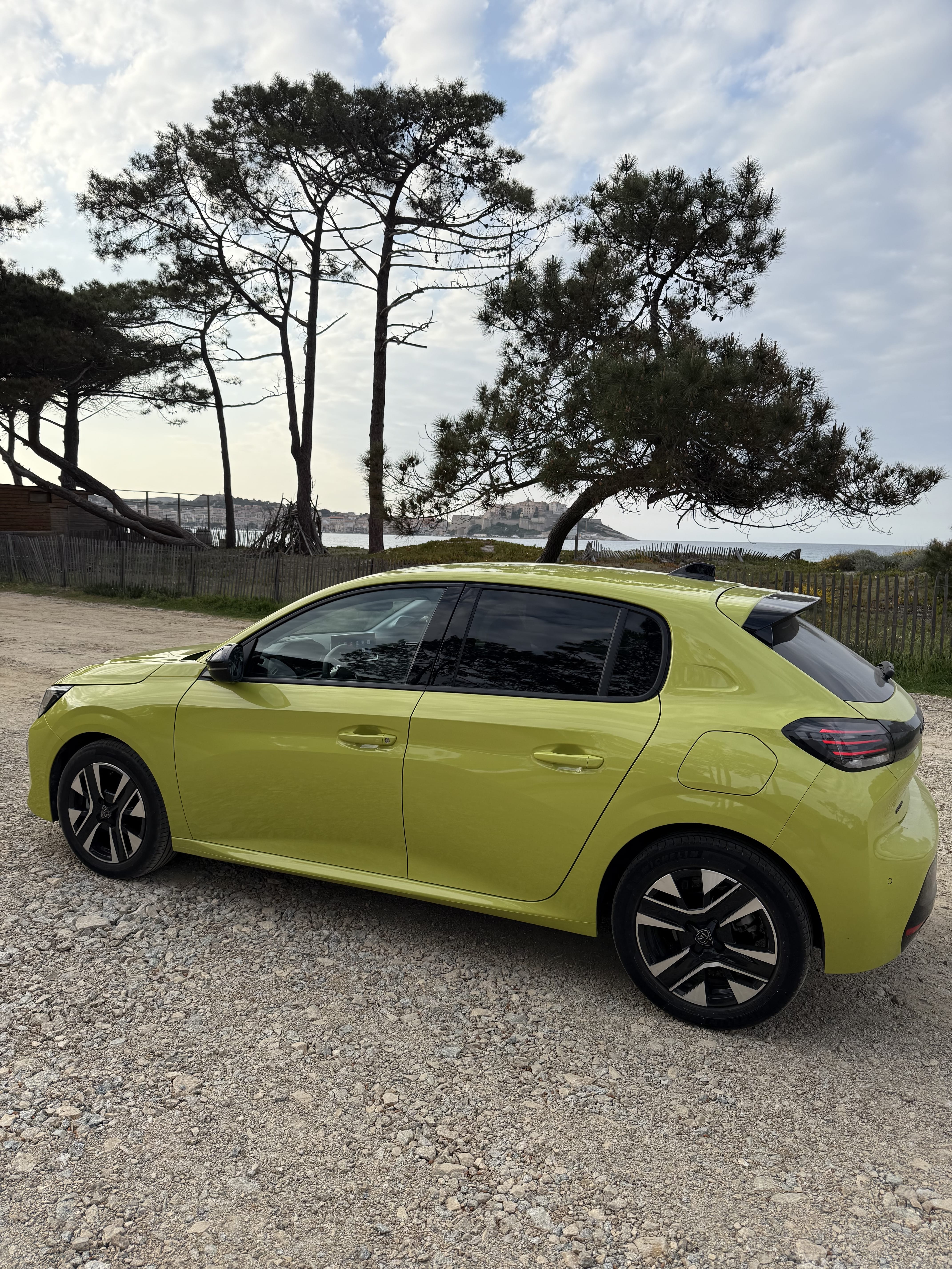 Peugeot 208, 2024, Essence 95