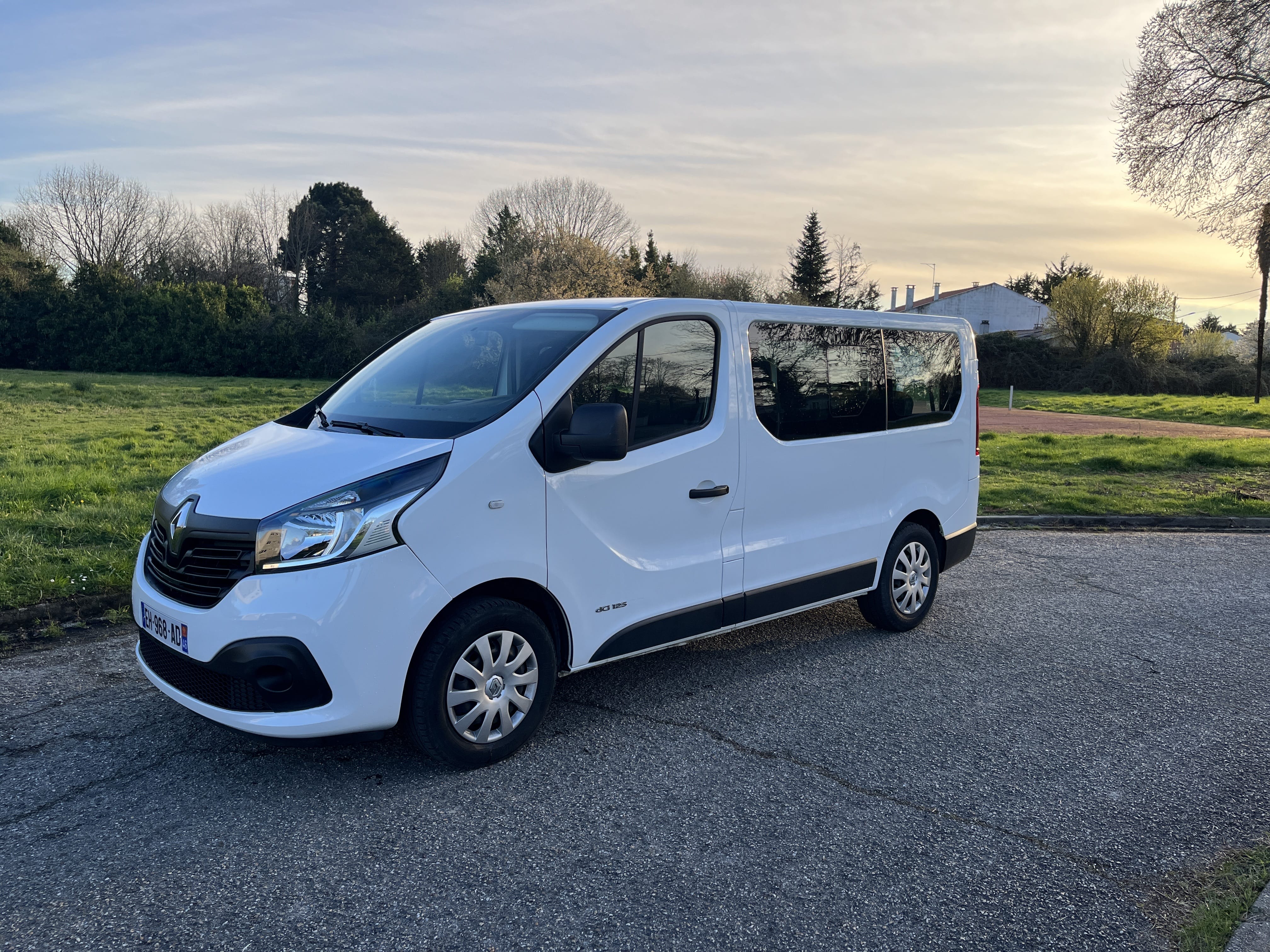 Renault Trafic Passenger 9 places, 2016, Diesel, 9 places et plus