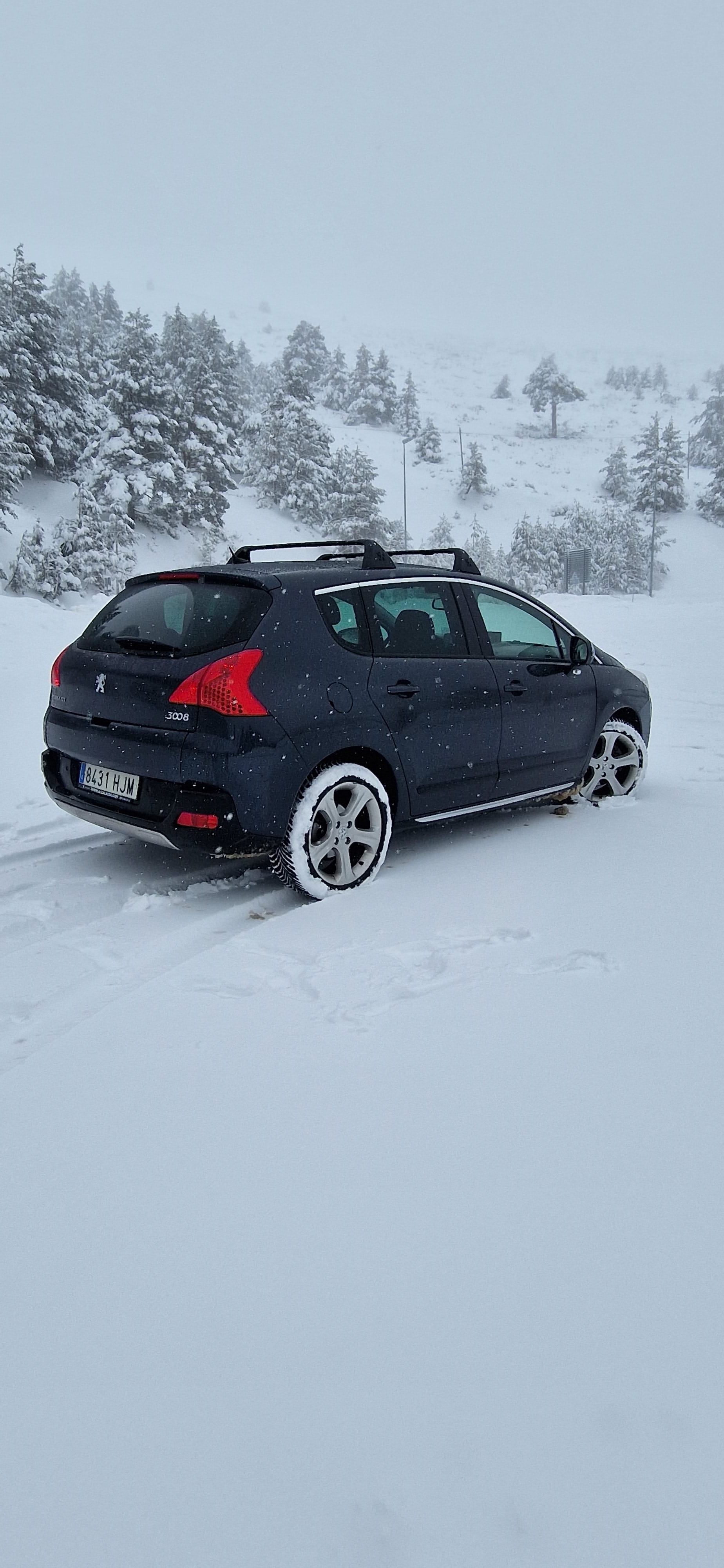 Peugeot 3008 2.0 HDI con GPS