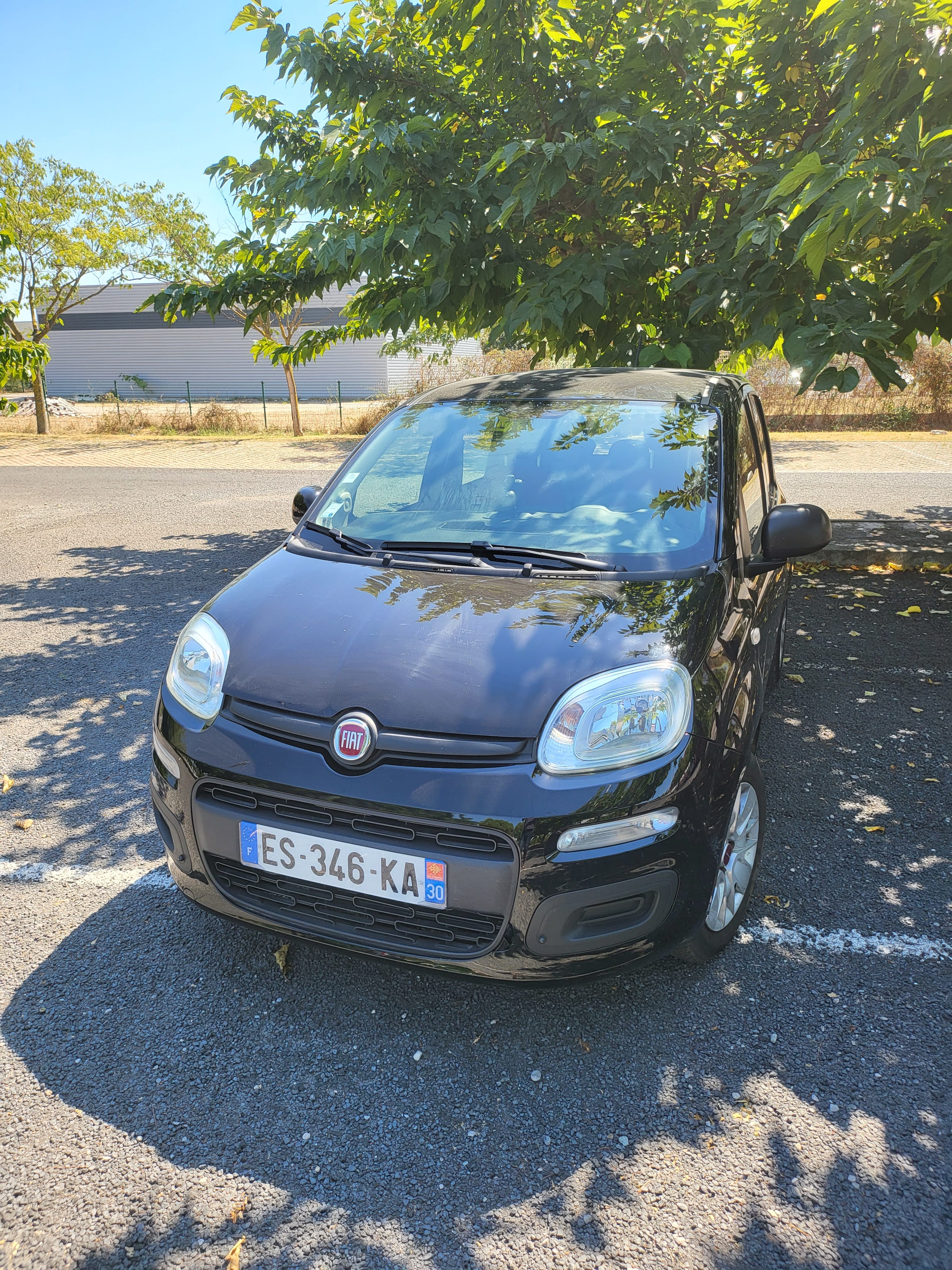 Fiat Panda, 2017, Essence 98