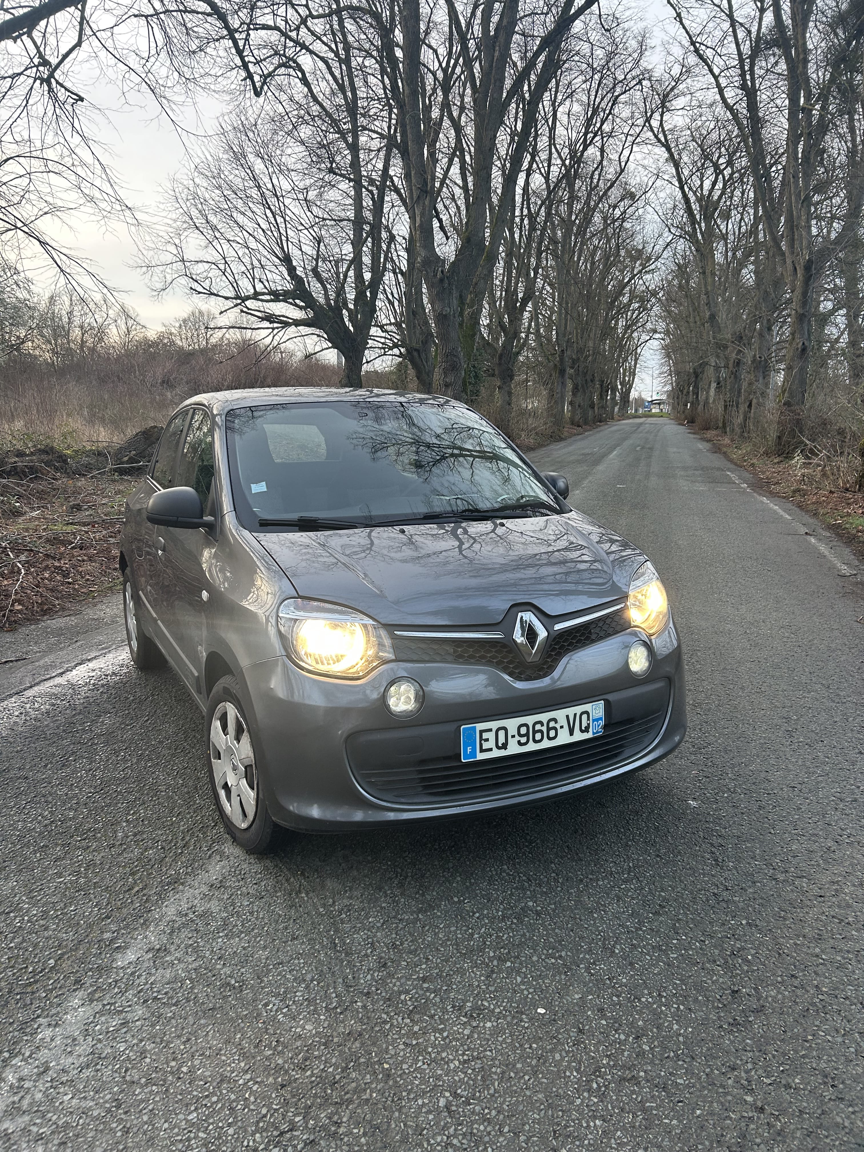 Renault Twingo III, 2017, Essence 95