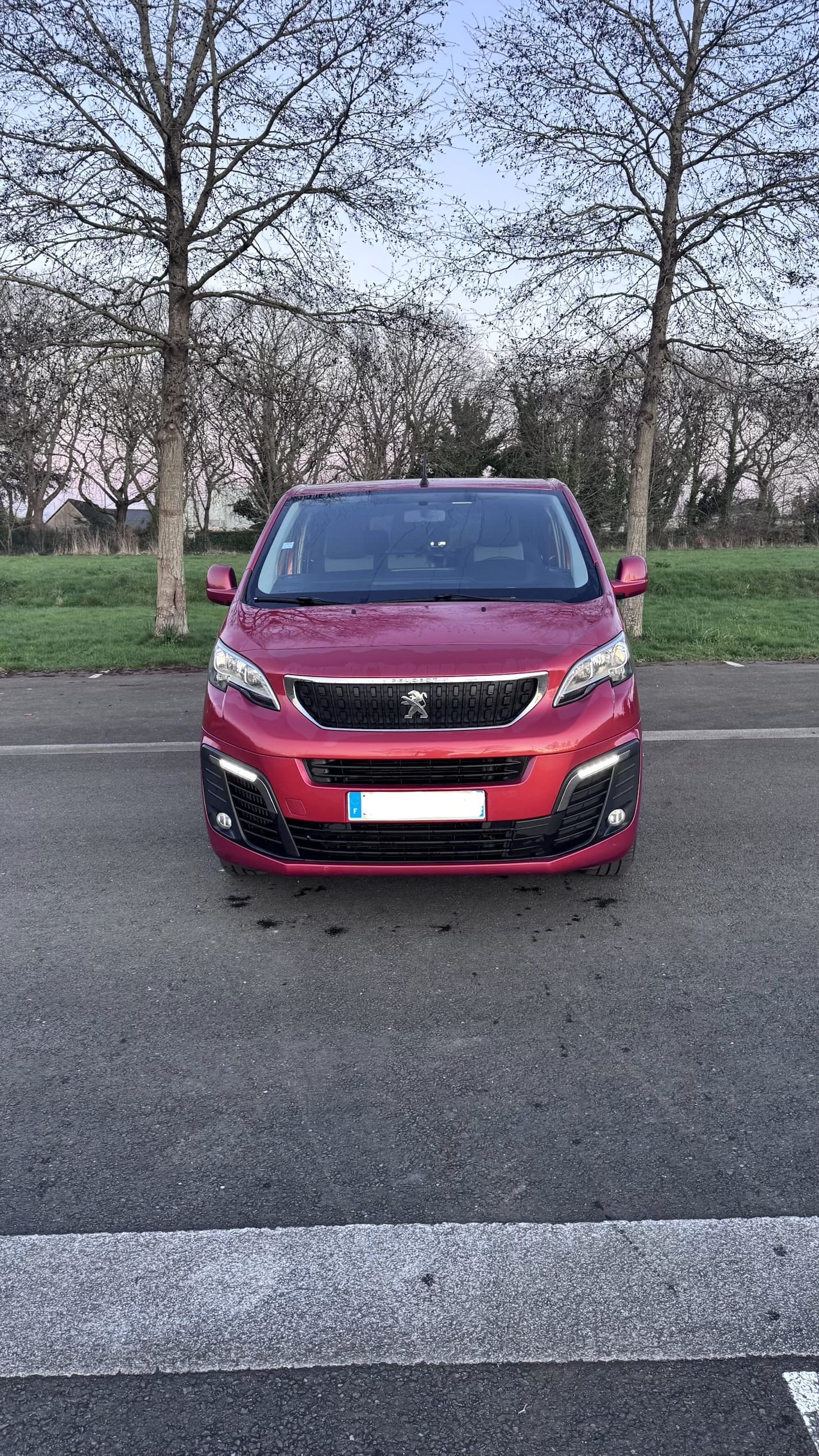 Peugeot Expert Combi avec Audio Bluetooth