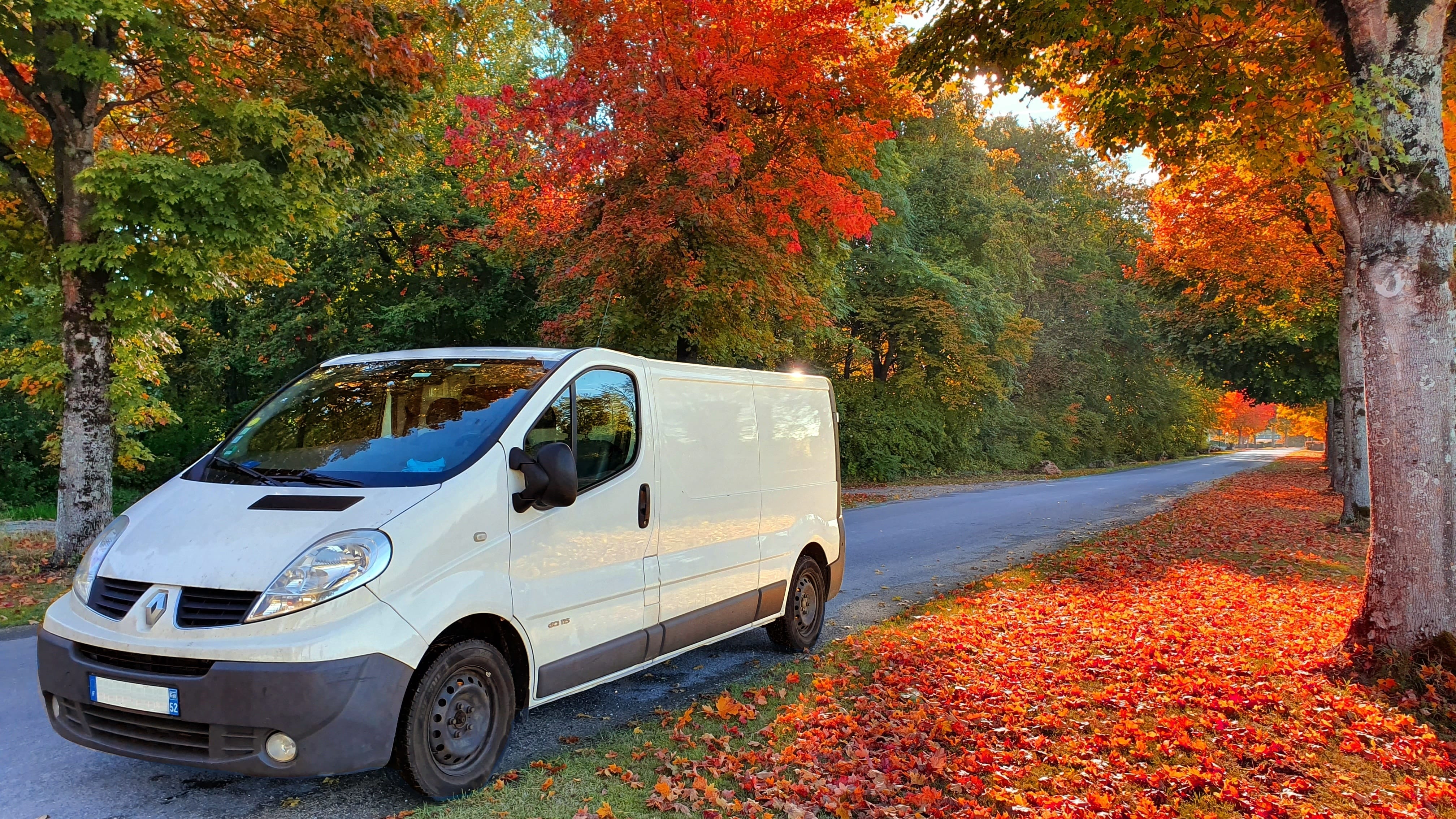 Renault Trafic Rallongé 7M3 + Radar de Recul, 2013, Diesel