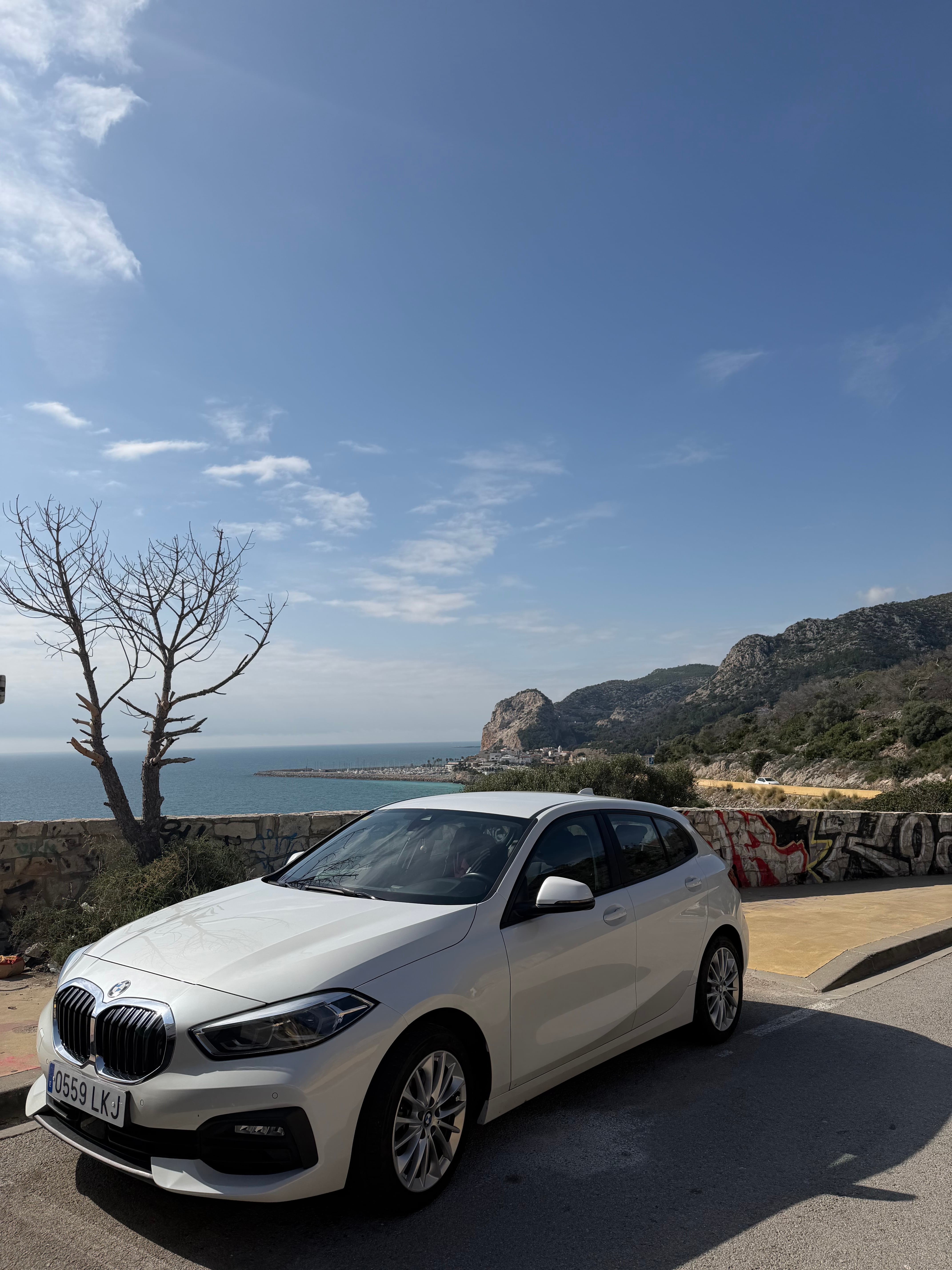 BMW Serie 1 118i 1.5 140 CV with Air conditioning