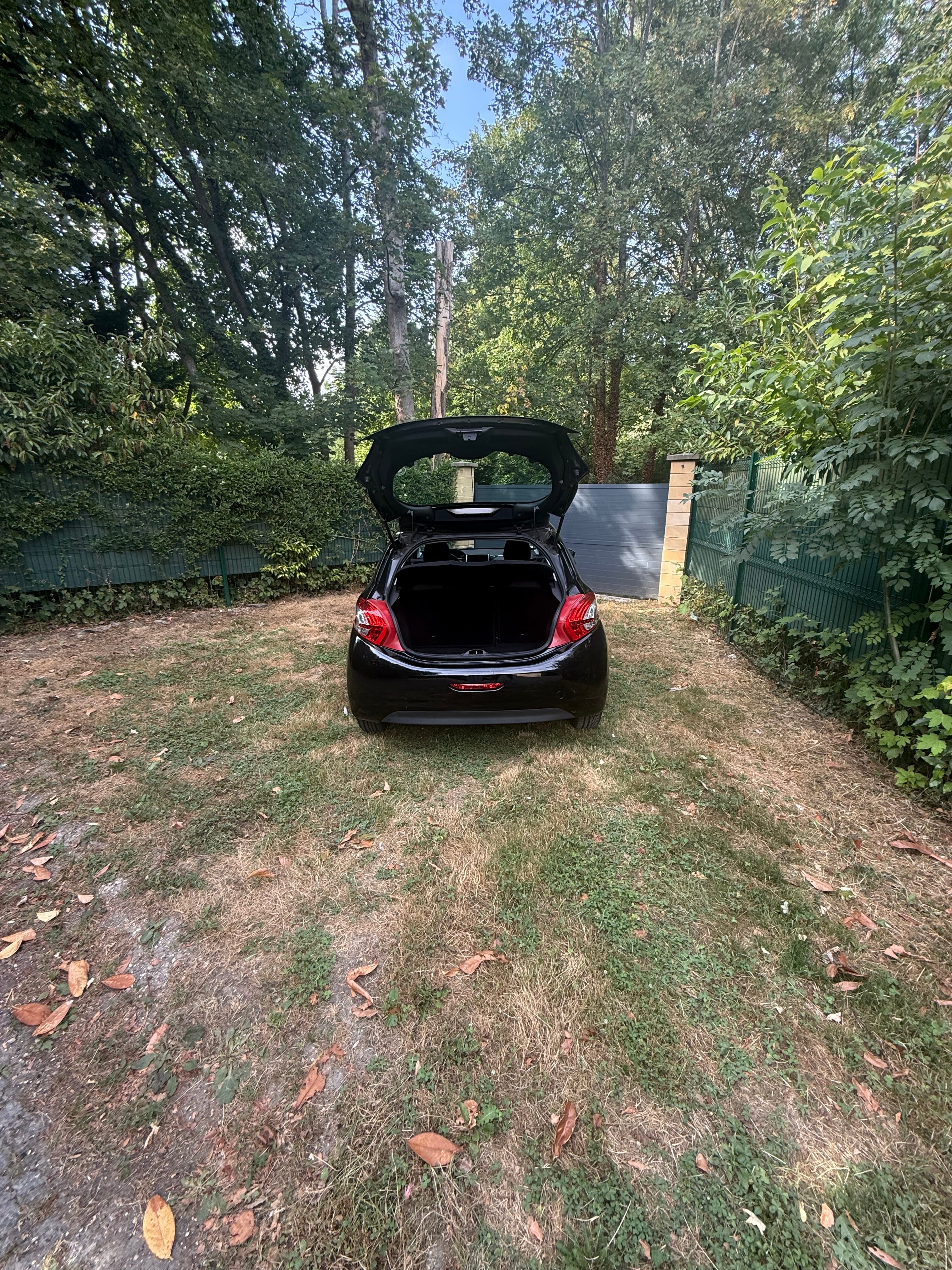 Peugeot 208 avec Régulateur de vitesse