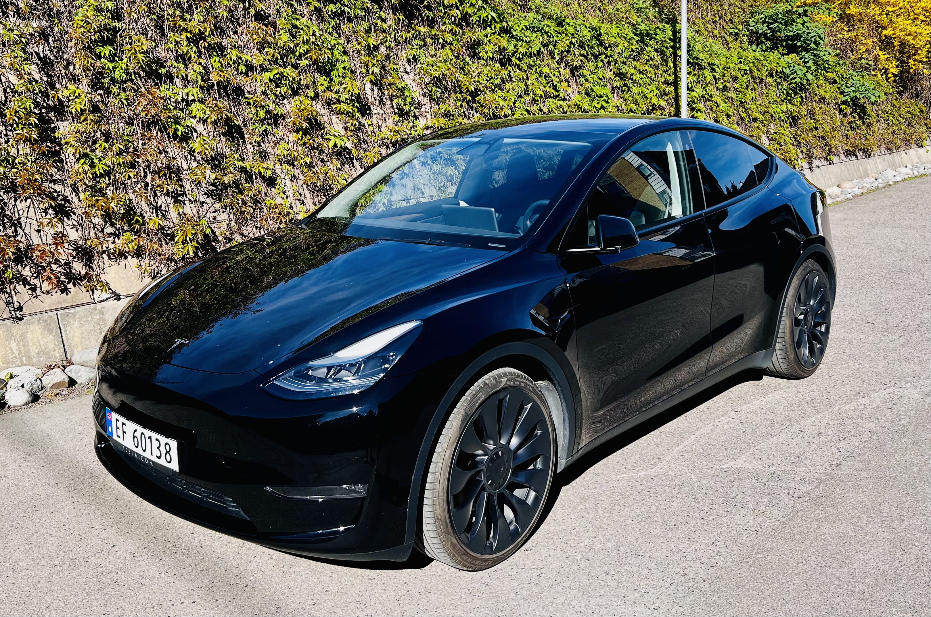 Tesla Model Y Performance, 2023, Elektrisk, automatisk