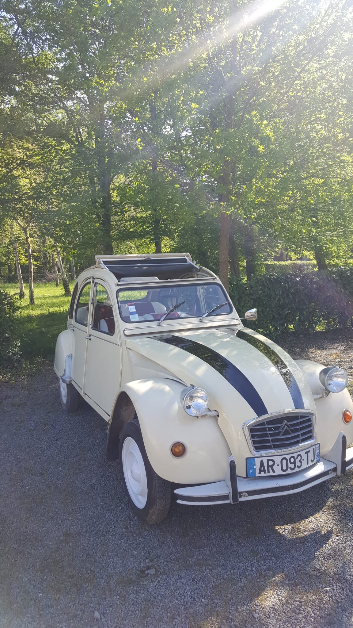Citroen 2CV 2cv6, 1979, Essence 95