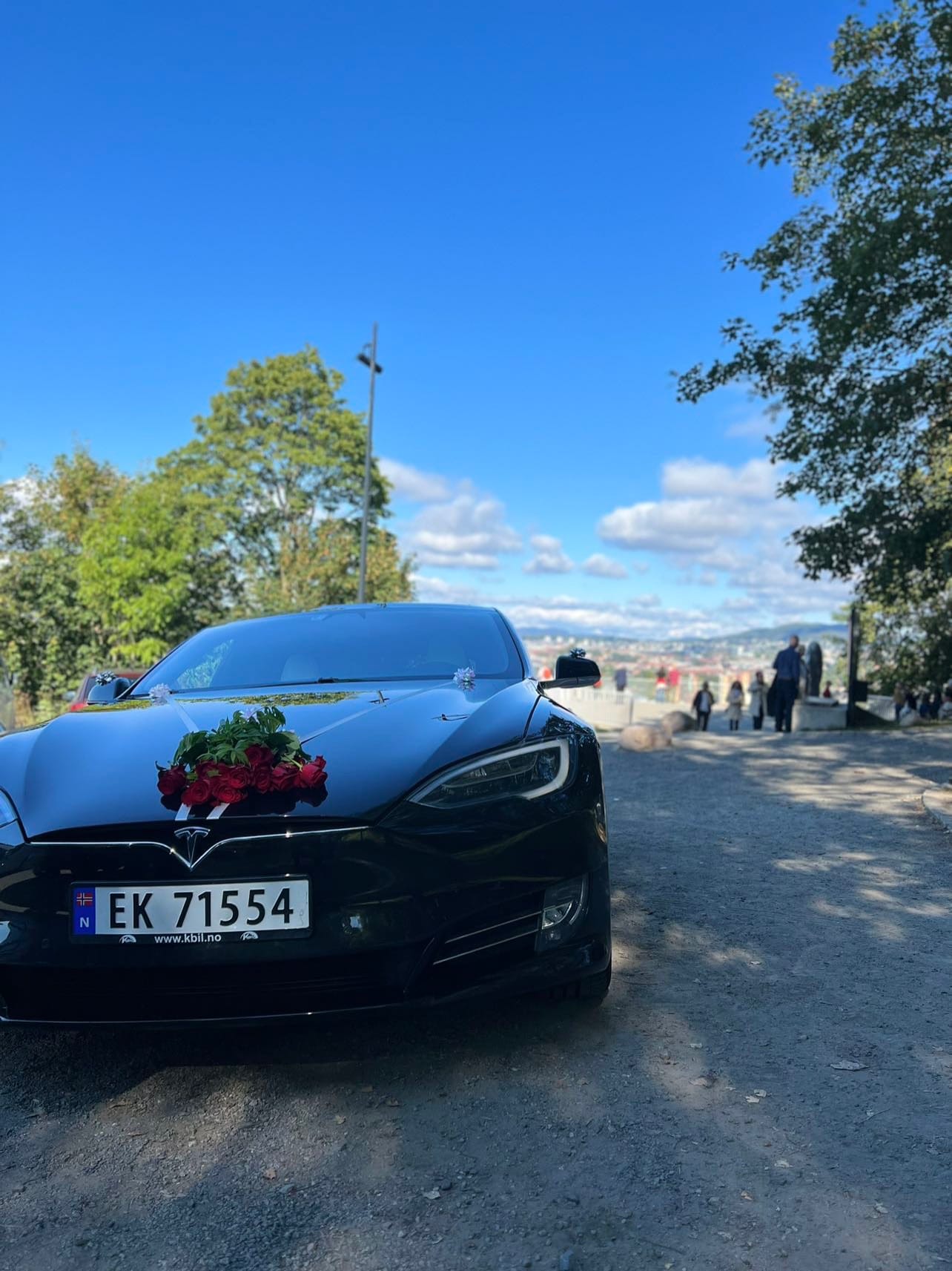 Tesla Model S med Bluetooth audio