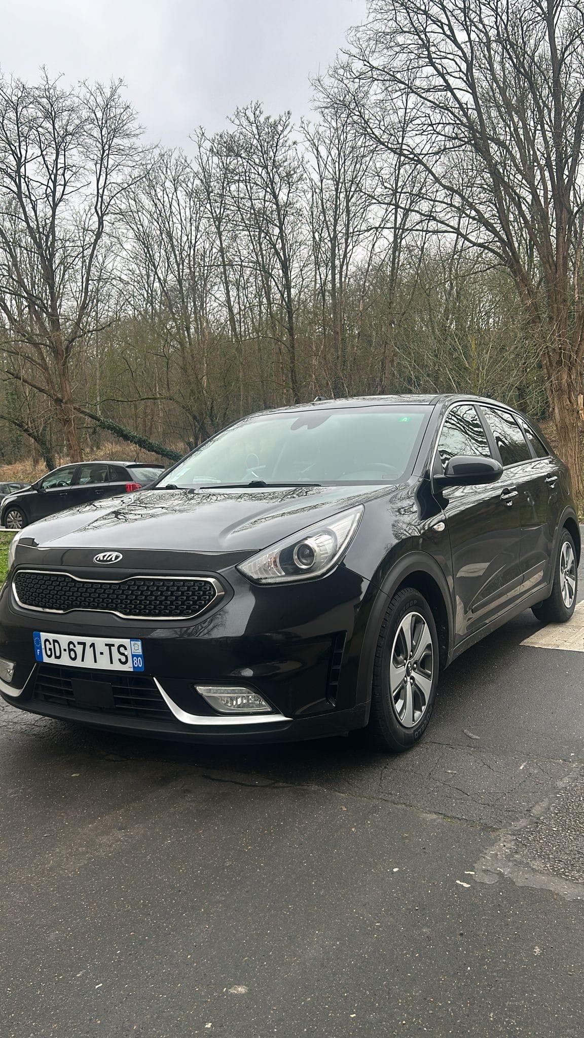 Kia Niro Hybride, 2019, Essence 95, automatique