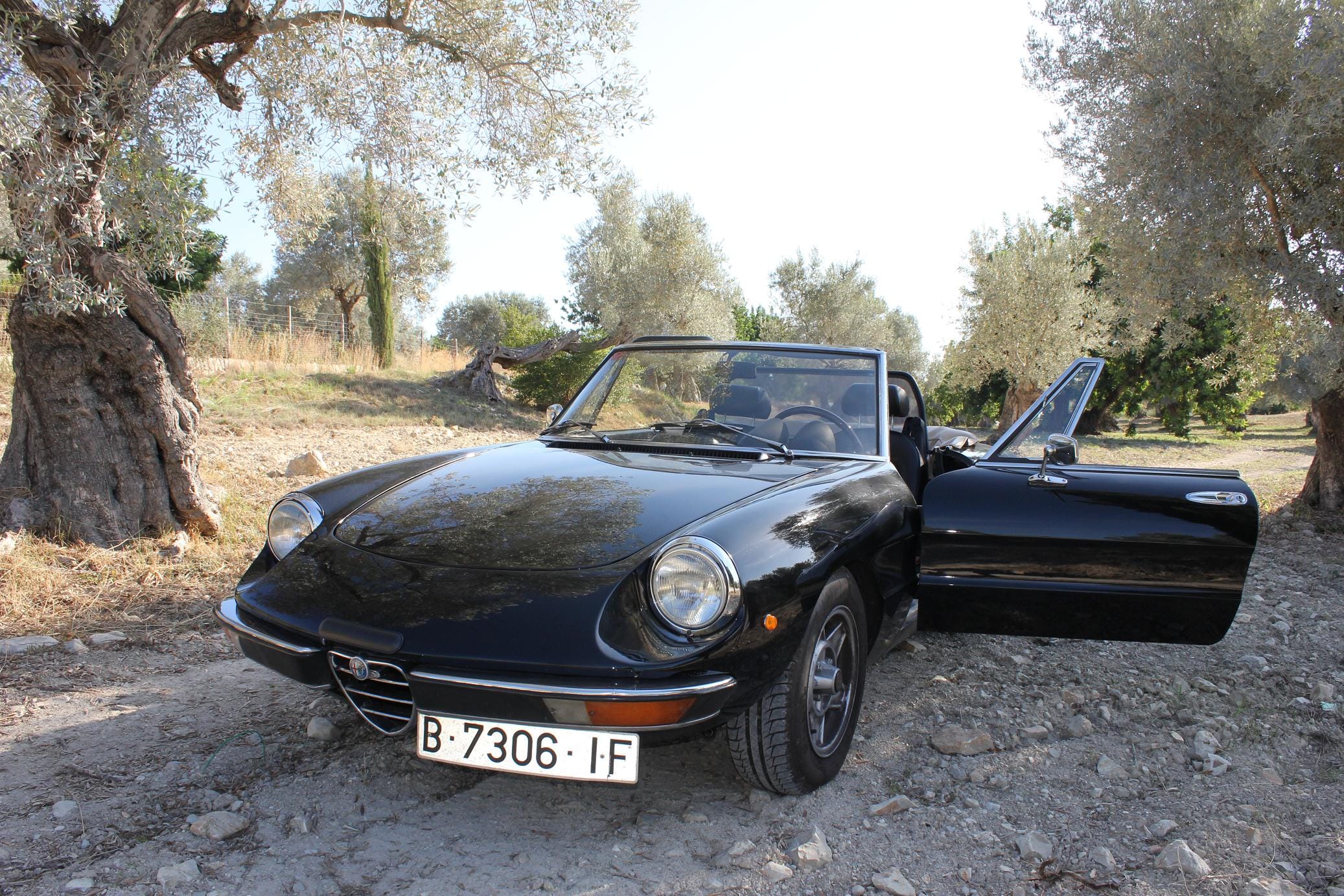 Alfa-Romeo Spider Duetto 1600, 1981, Gasolina 98