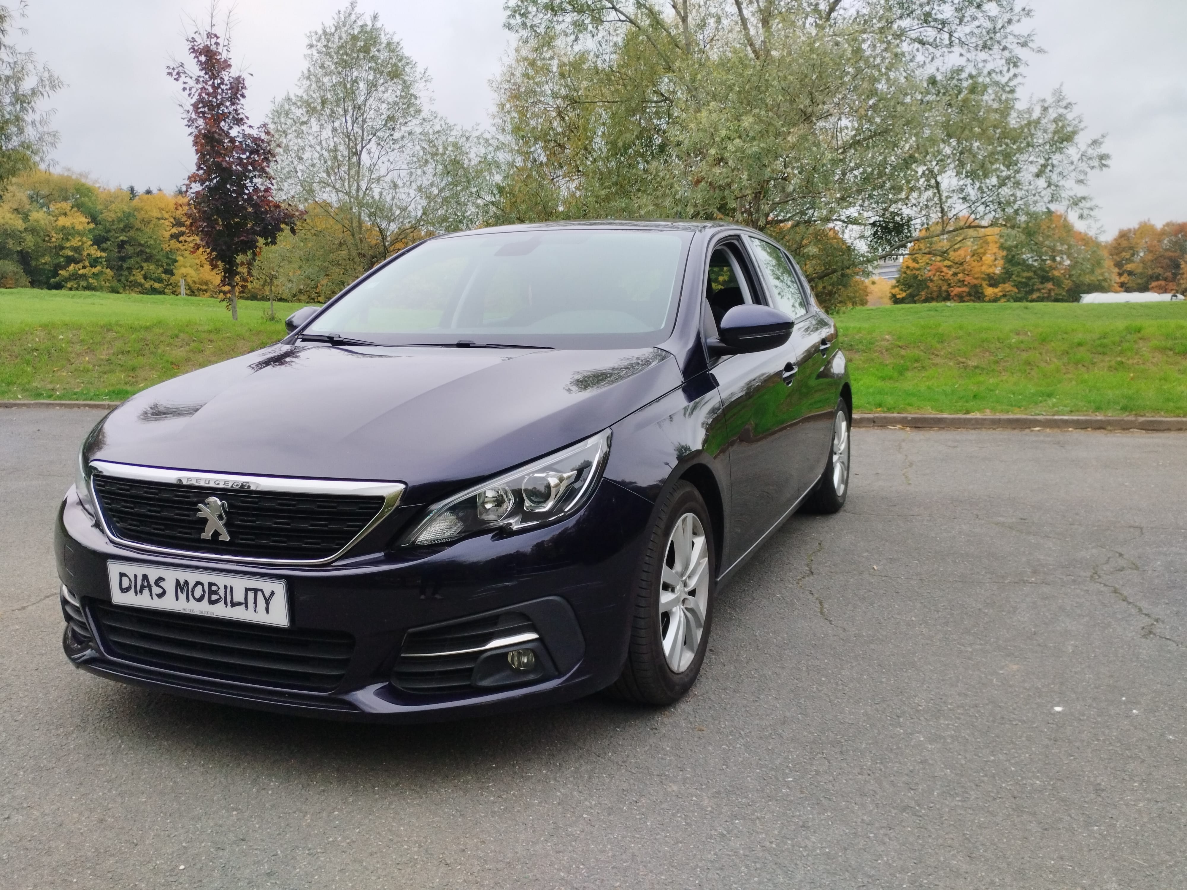 Peugeot 308 avec Climatisation