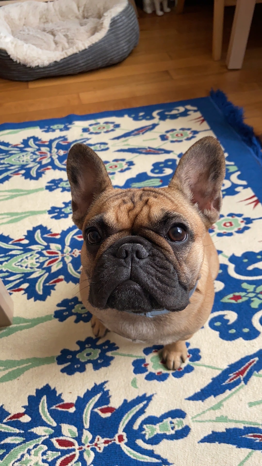 Lionel