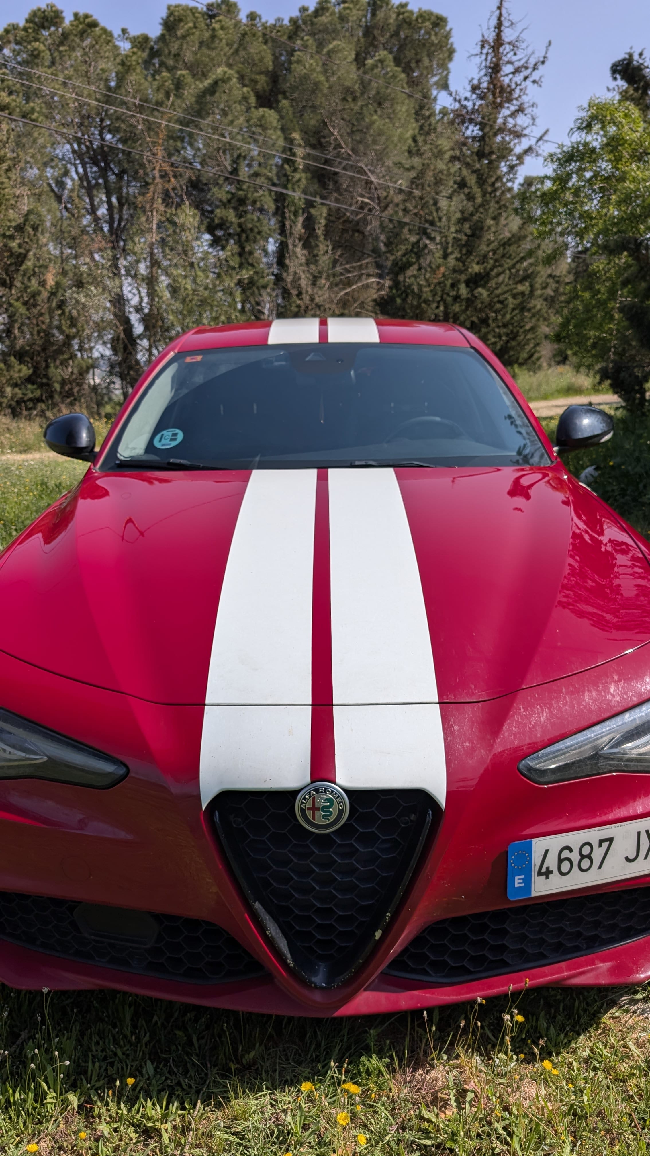 Alfa-Romeo Giulia 2.0 JTD con Silla infantil