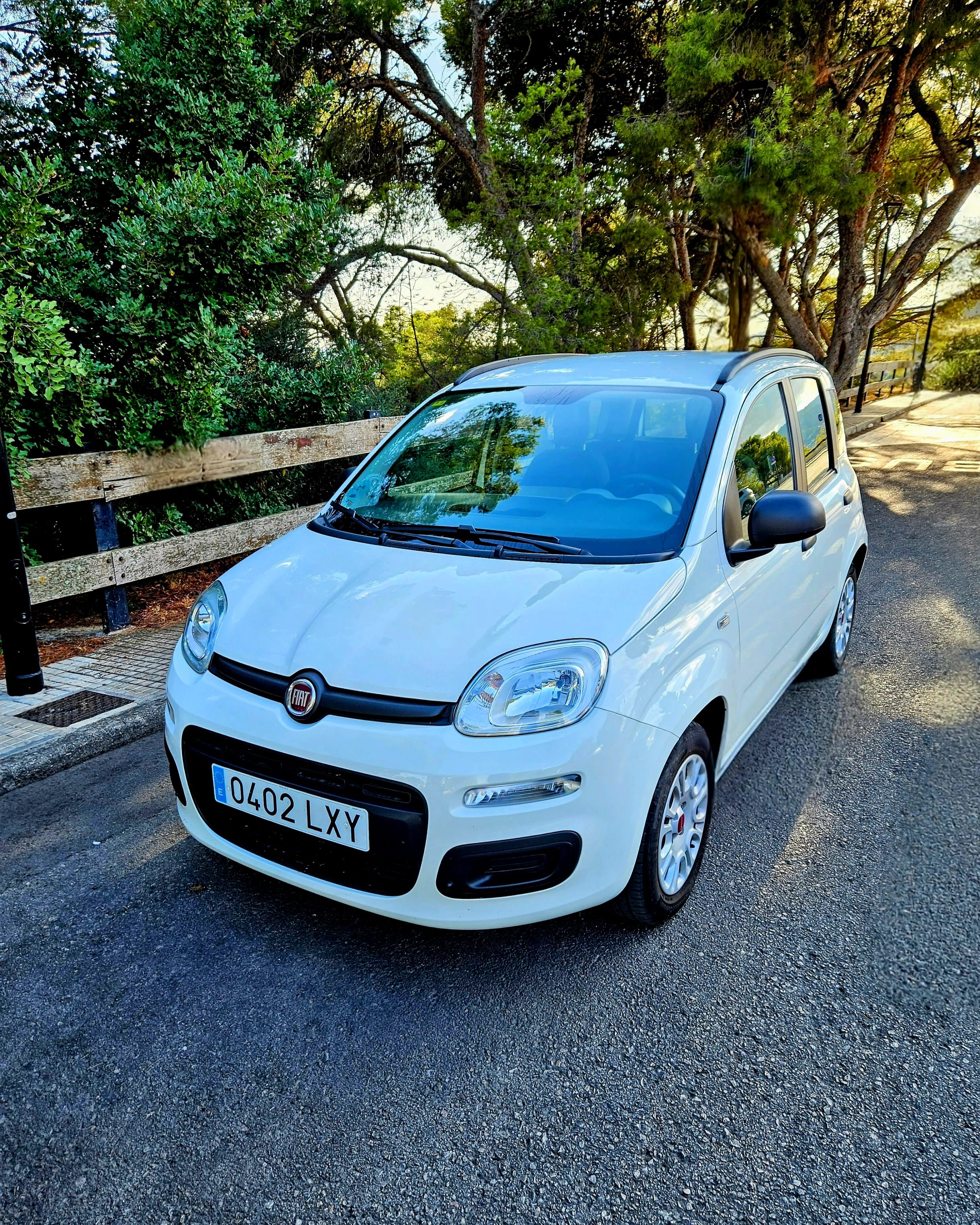 Fiat Panda 1.2 BLANCO, 2022, Gasolina 95