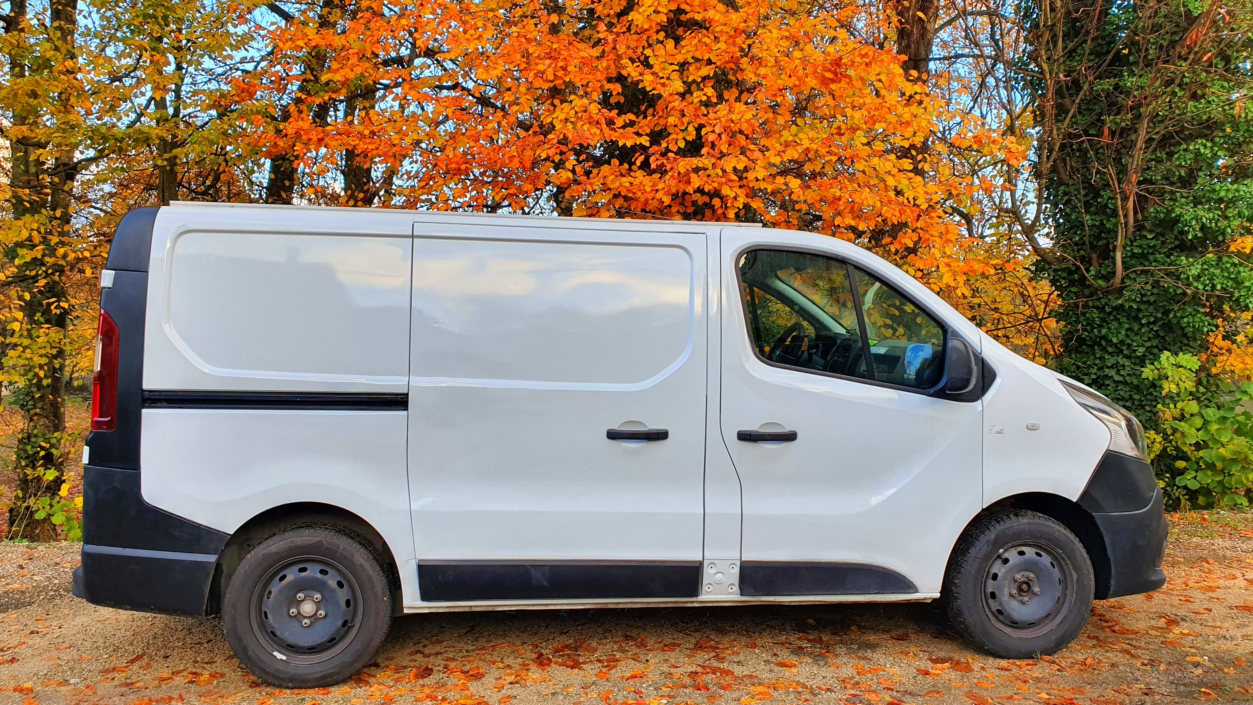 Renault Trafic Radar de Recul + Regul de Vitesse