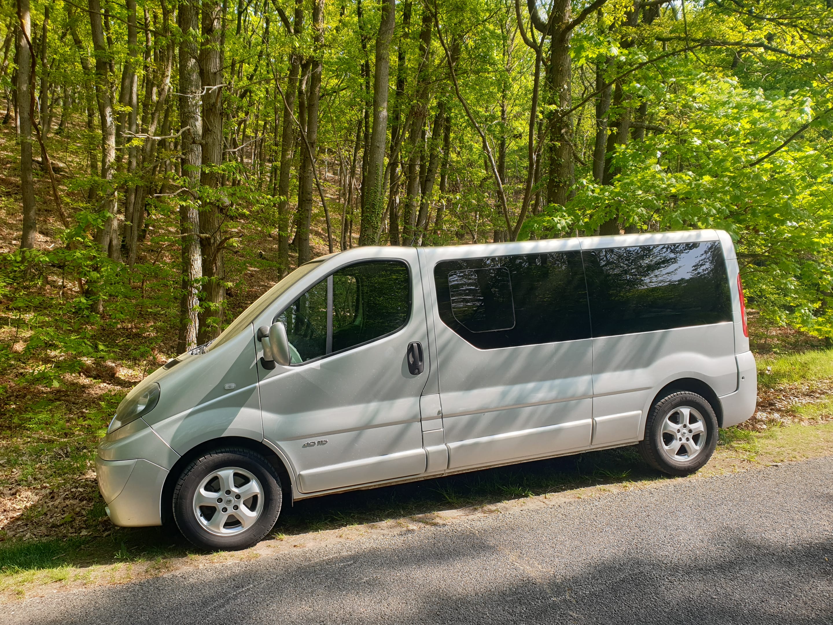 Renault Trafic Passenger 2.0 dci 115, 2013, Diesel, 9 places et plus