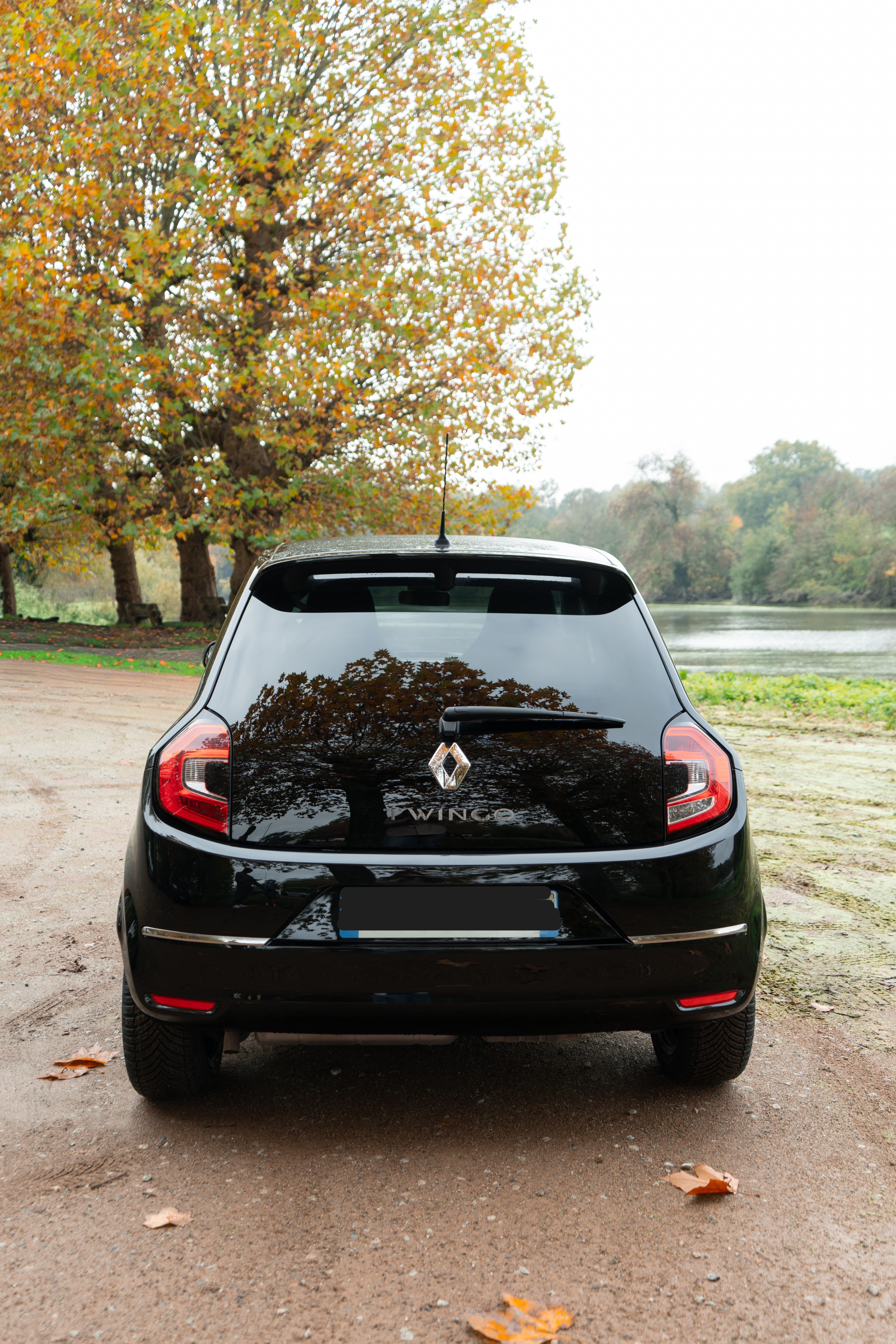Renault Twingo III con Entrada de Audio/iPod