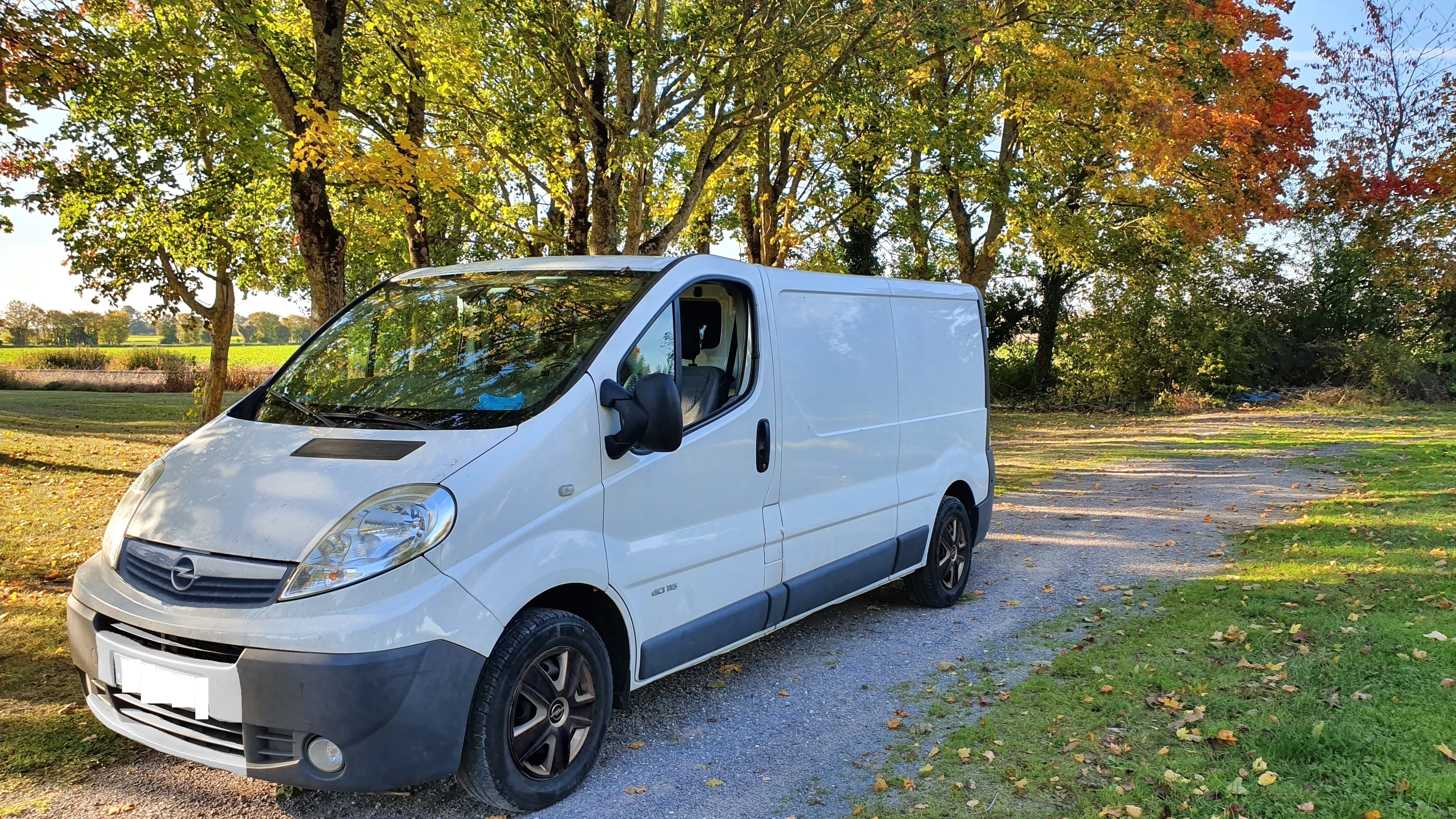 Opel Vivaro Rallongé 7M3 Regulateur de Vitesse, 2012, Diesel