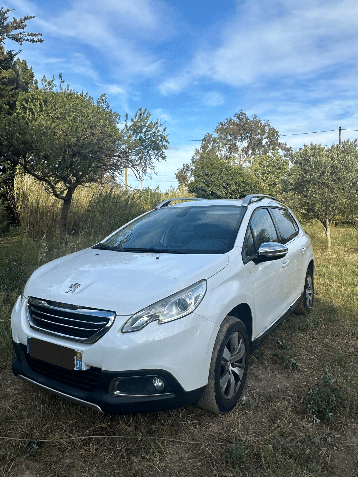 Peugeot 2008, 2015, Diesel
