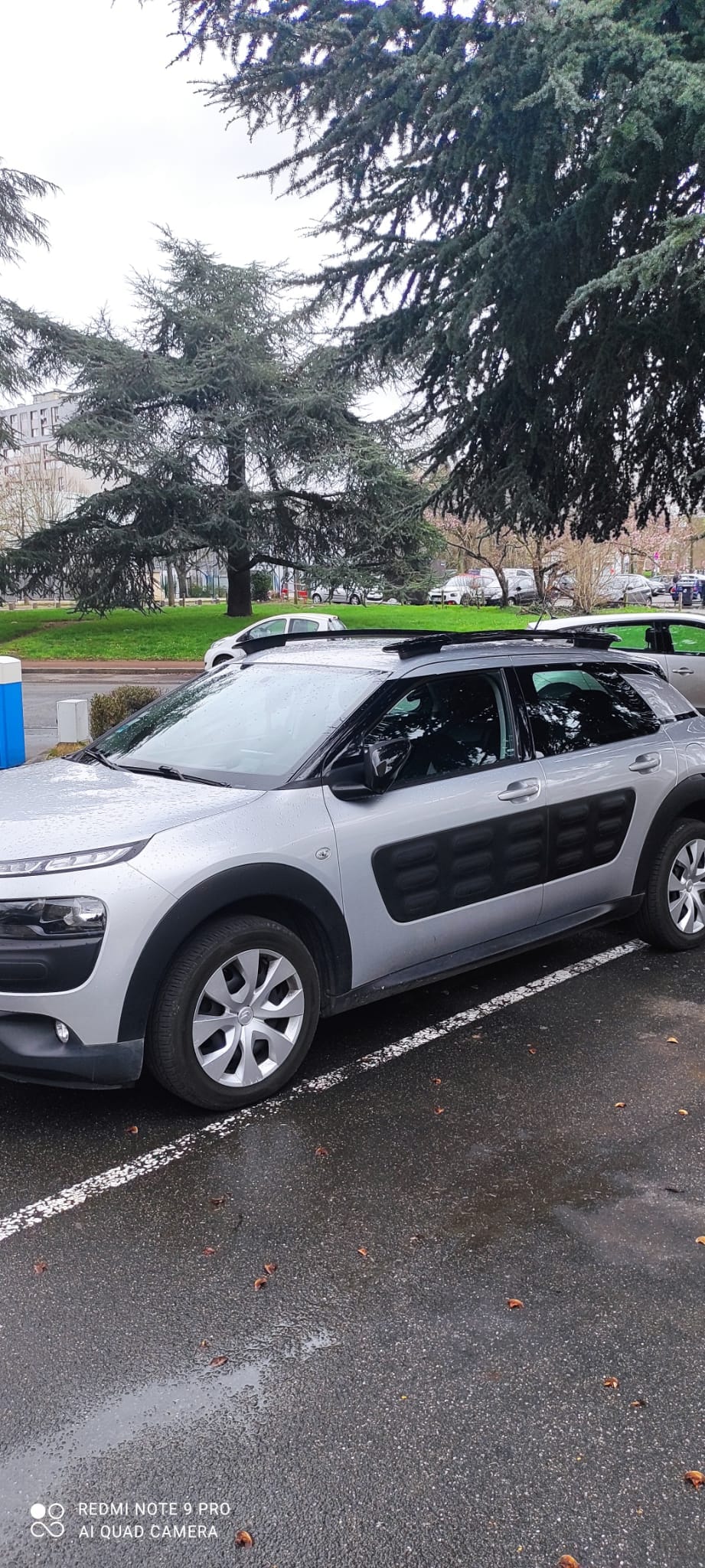 Citroen C4 Cactus avec Climatisation