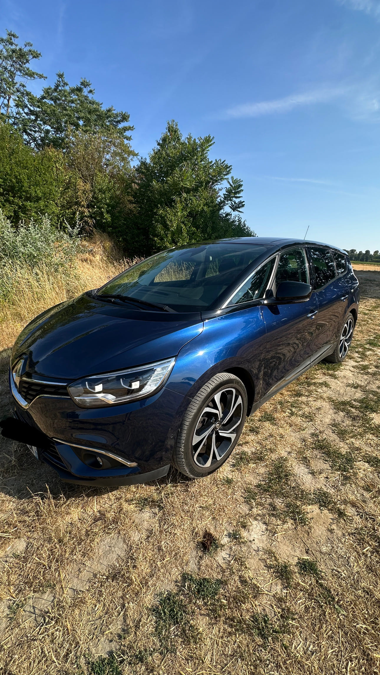 Renault Scenic, 2020, Diesel, 7 places