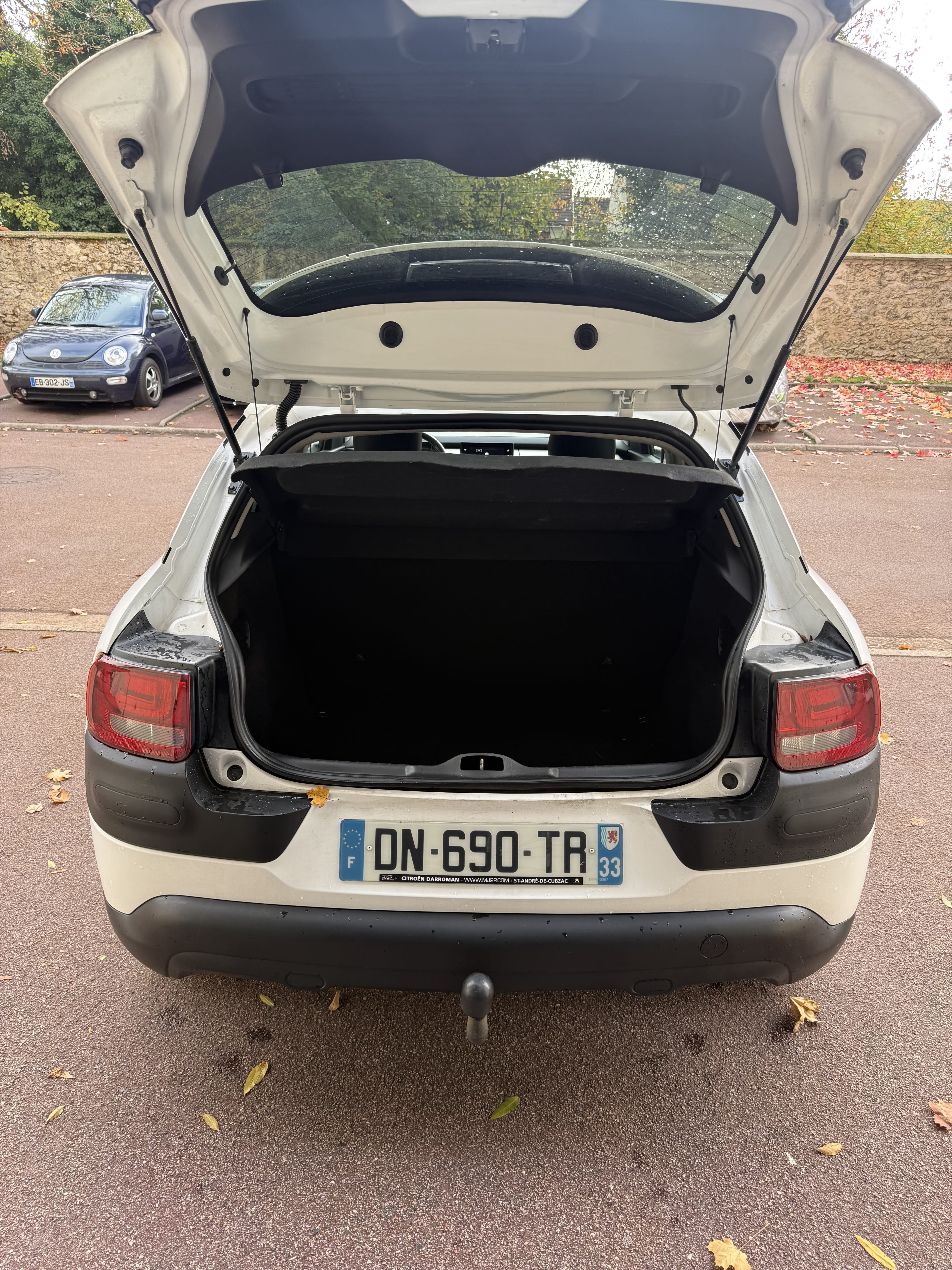Citroen C4 Cactus avec Coffre de toit