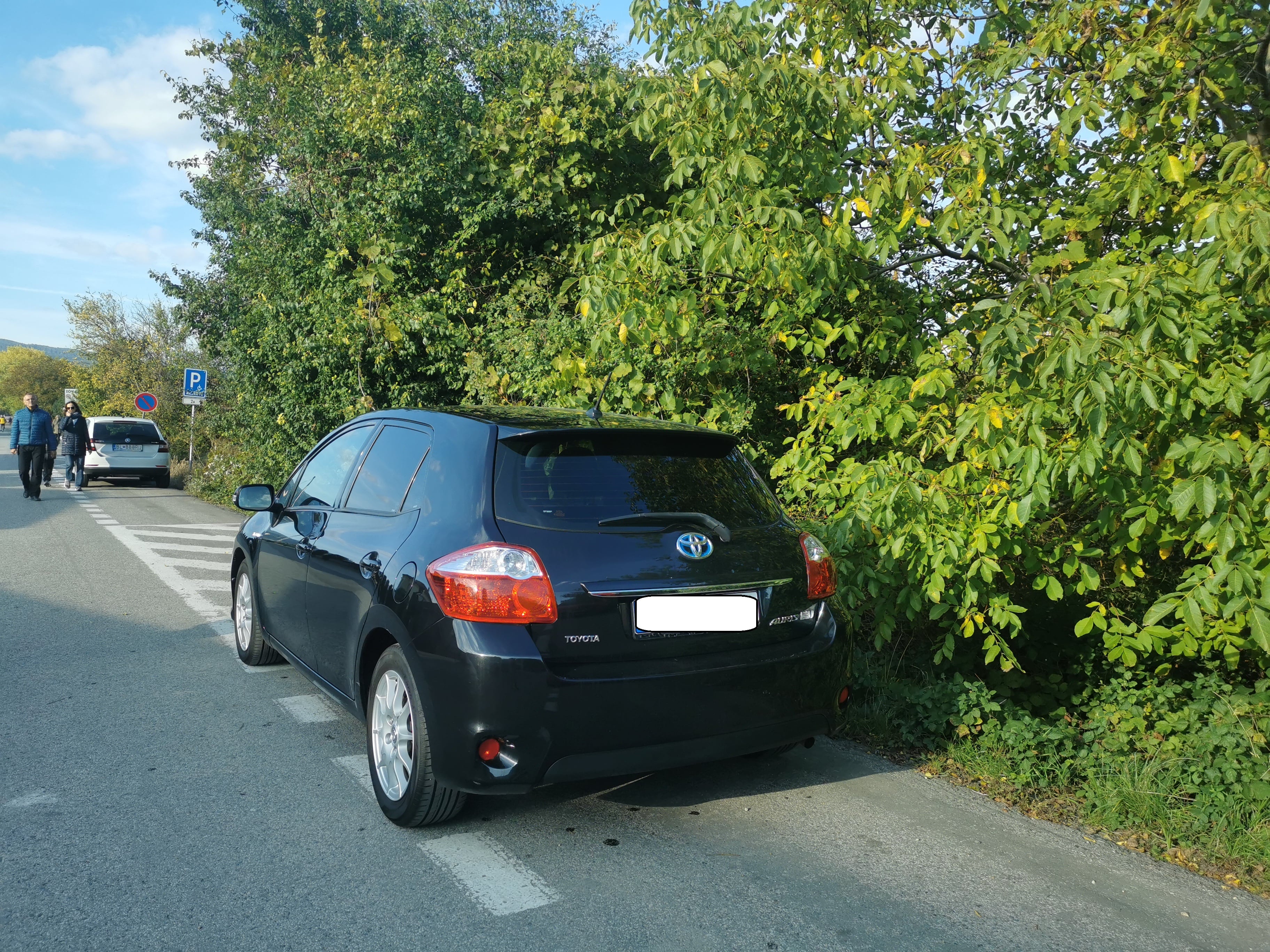 Toyota Auris con Portabicicletas