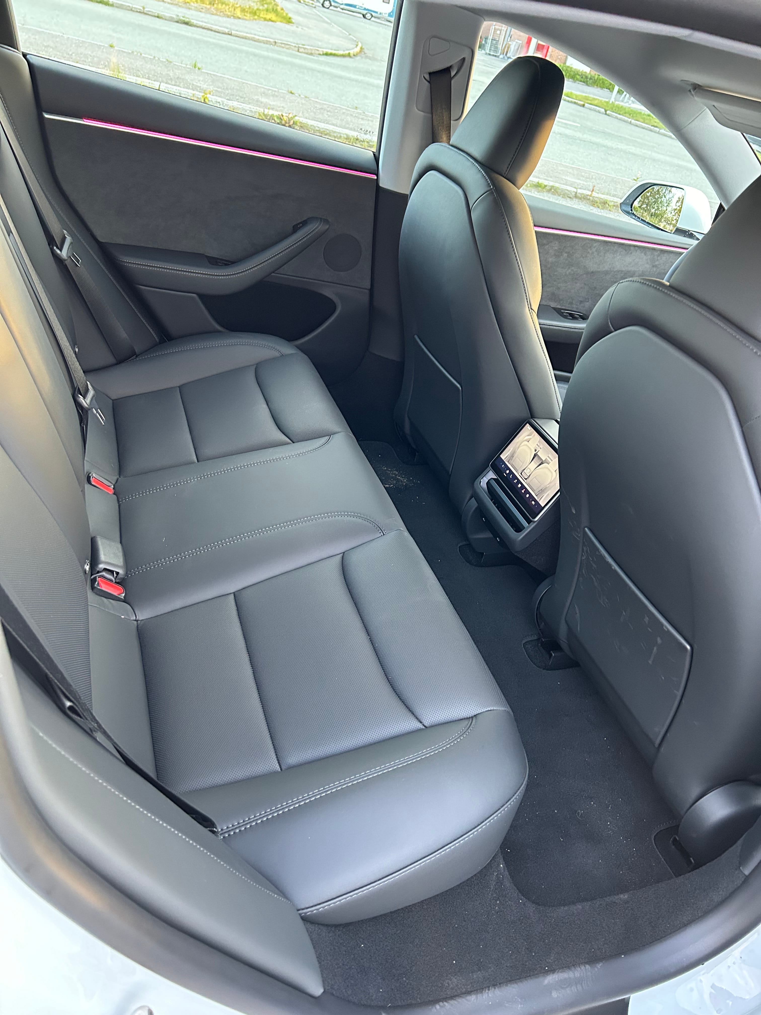Tesla Model 3 Long Range med Bluetooth audio