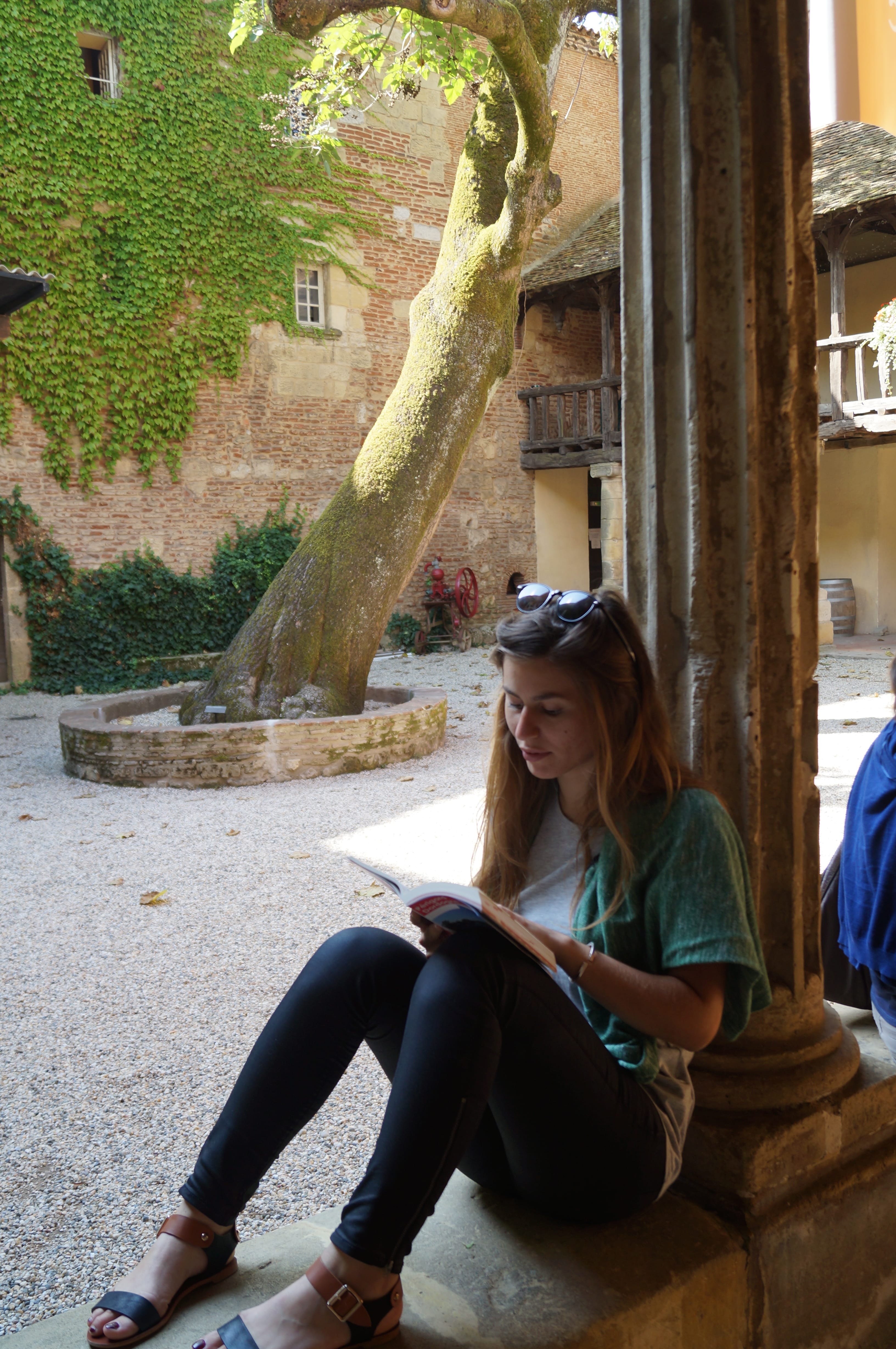 Coline