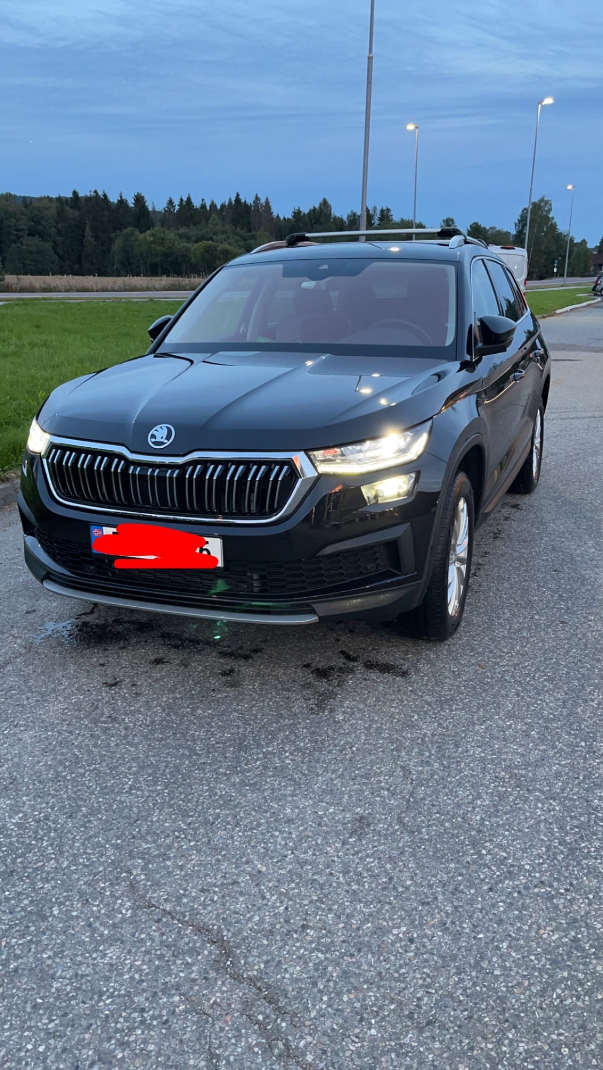 Skoda Kodiaq 2.0 TDI, 2022, Diesel, automatisk