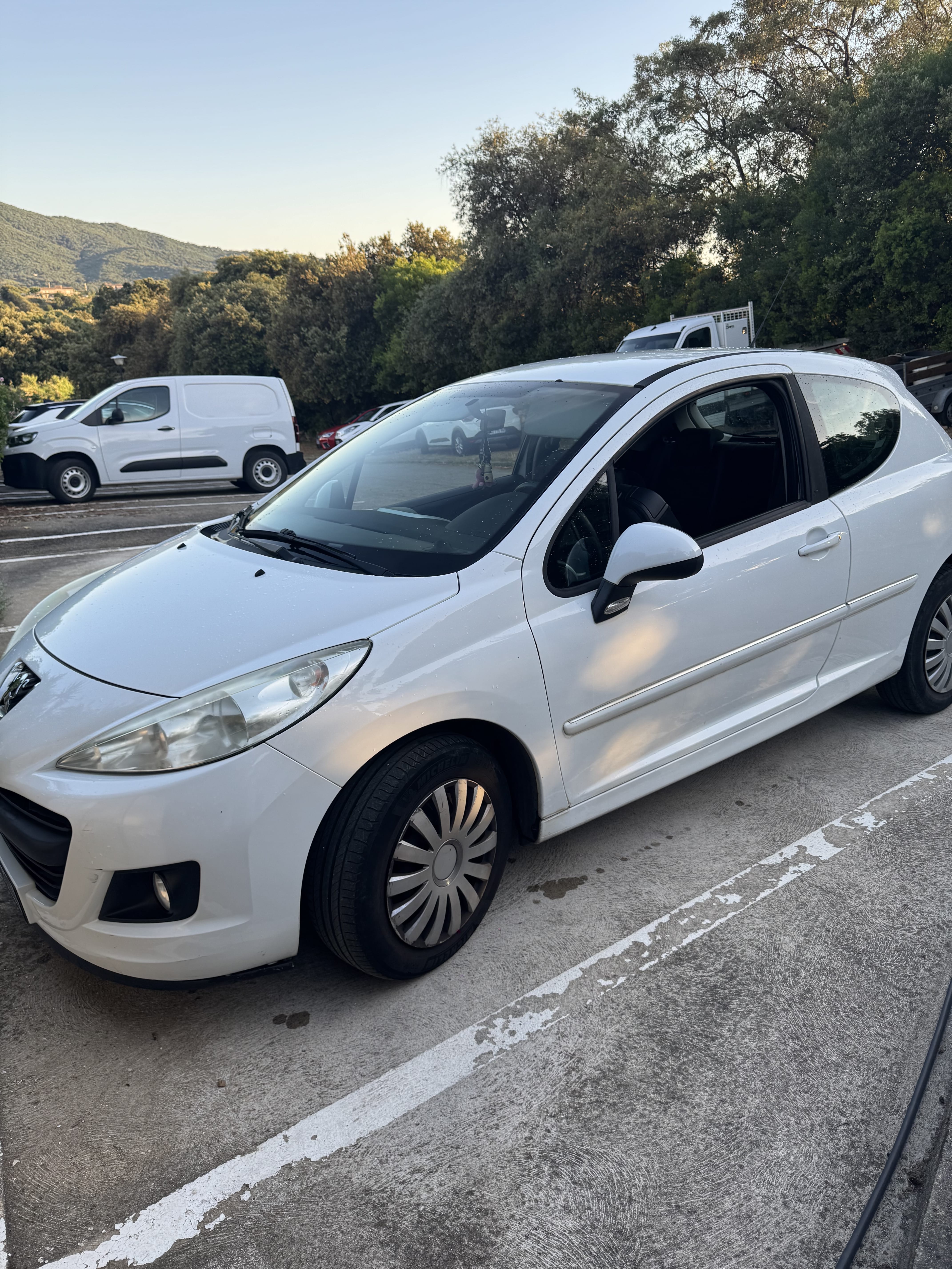 Peugeot 207, 2013, Essence 95