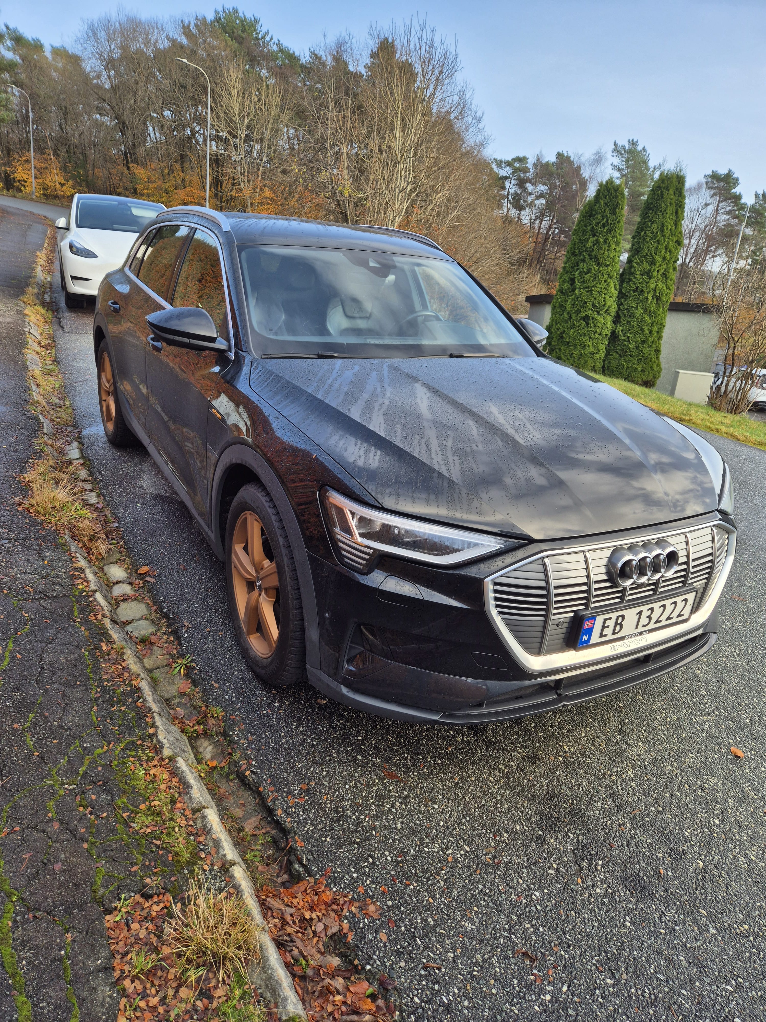 Audi e-tron, 2019, Elektrisk, automatisk