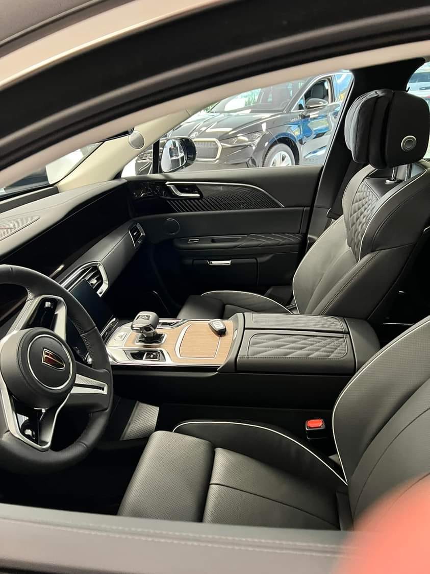 Hongqi E-HS9 mit Dashcam