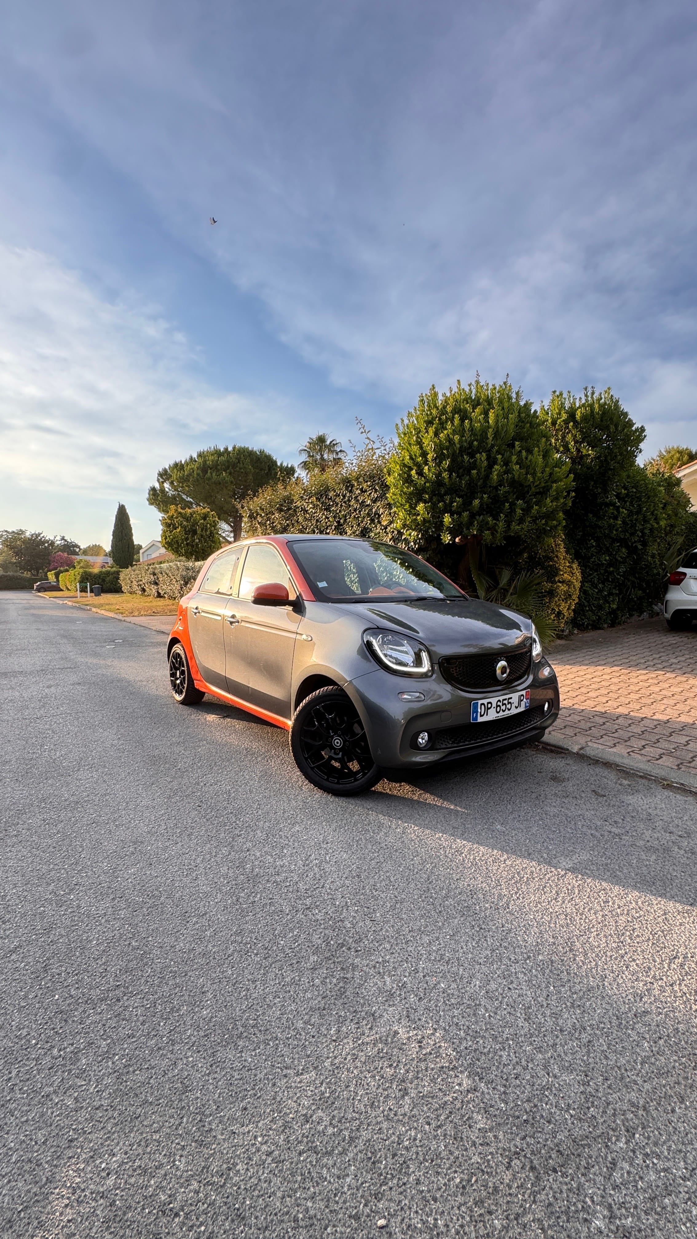 Smart Forfour, 2015, Essence 95