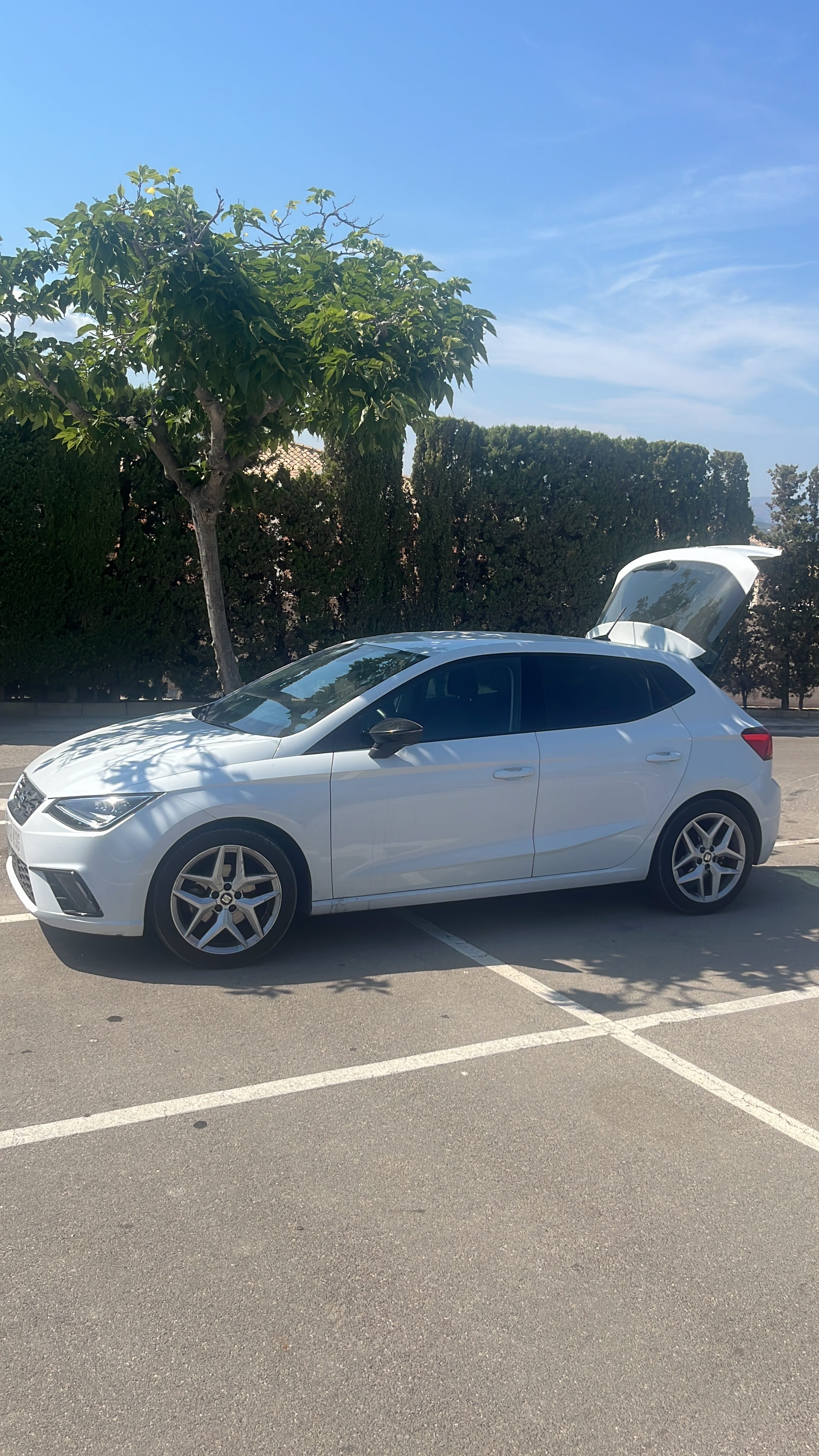 Seat Ibiza, 2018, Gasolina 95