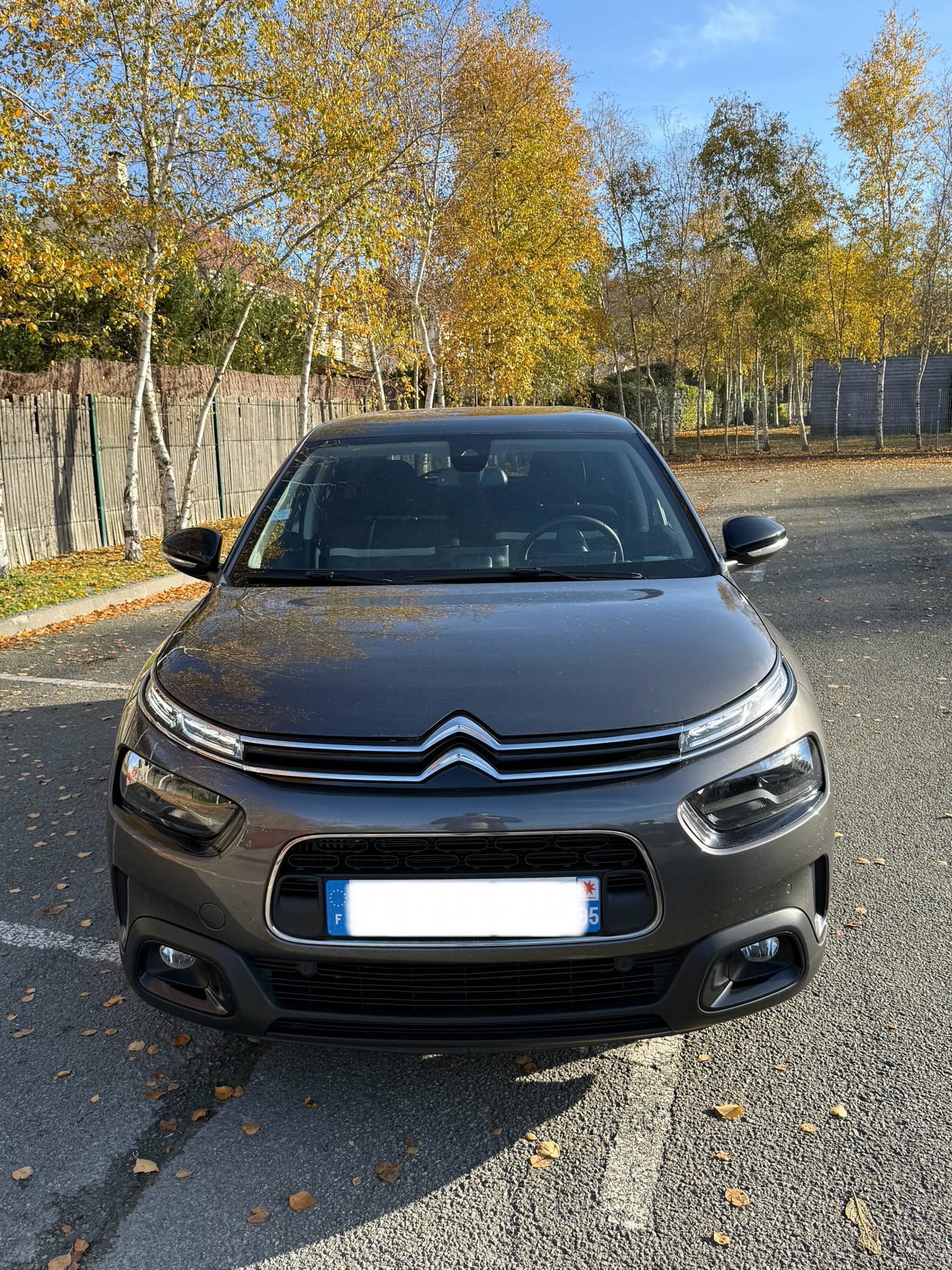 Citroen C4 Cactus avec GPS