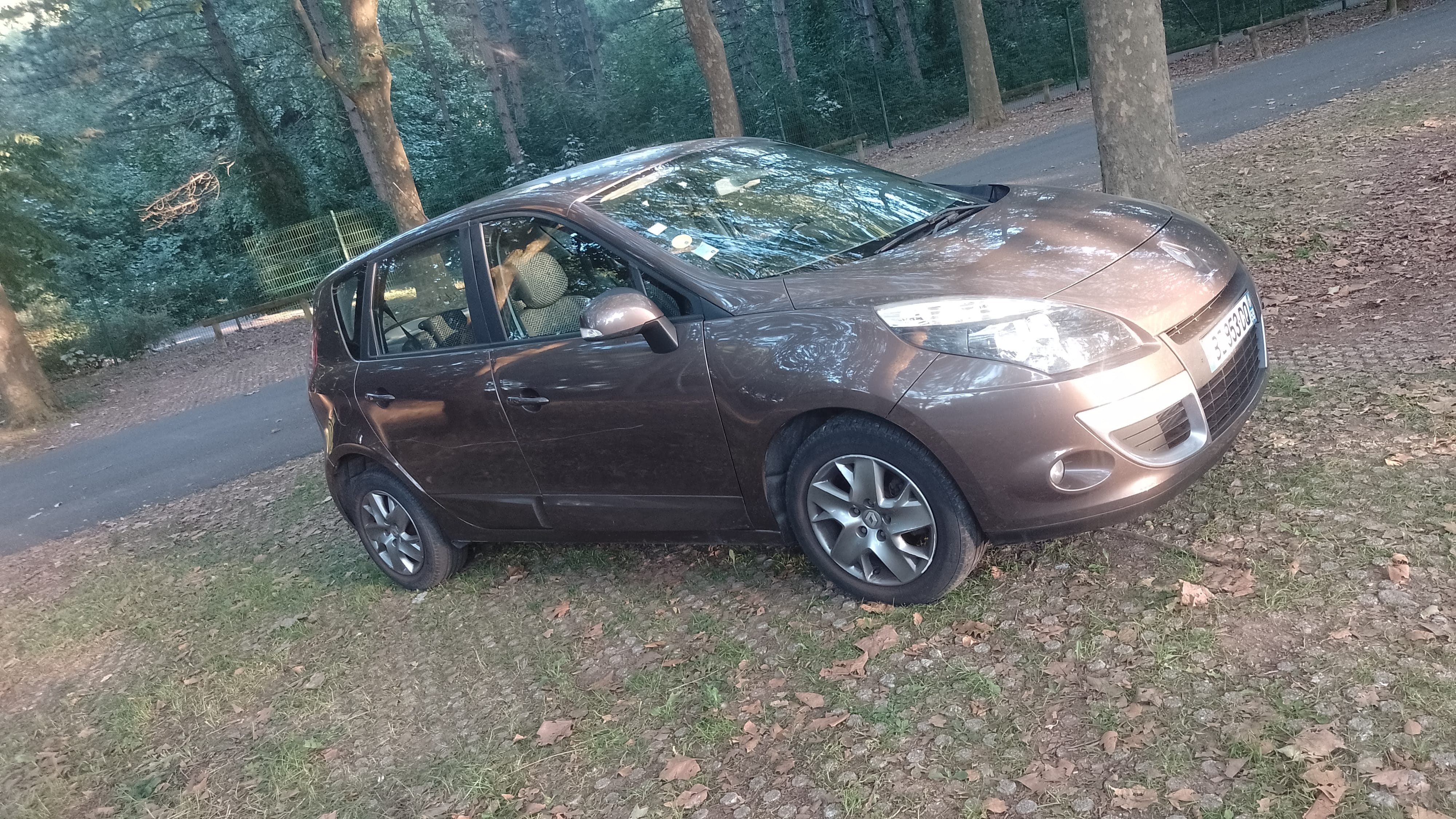 Renault Scenic, 2011, Diesel