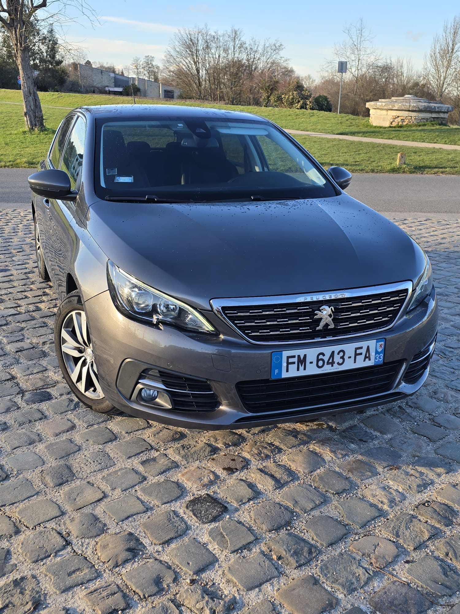 Peugeot 308 avec GPS
