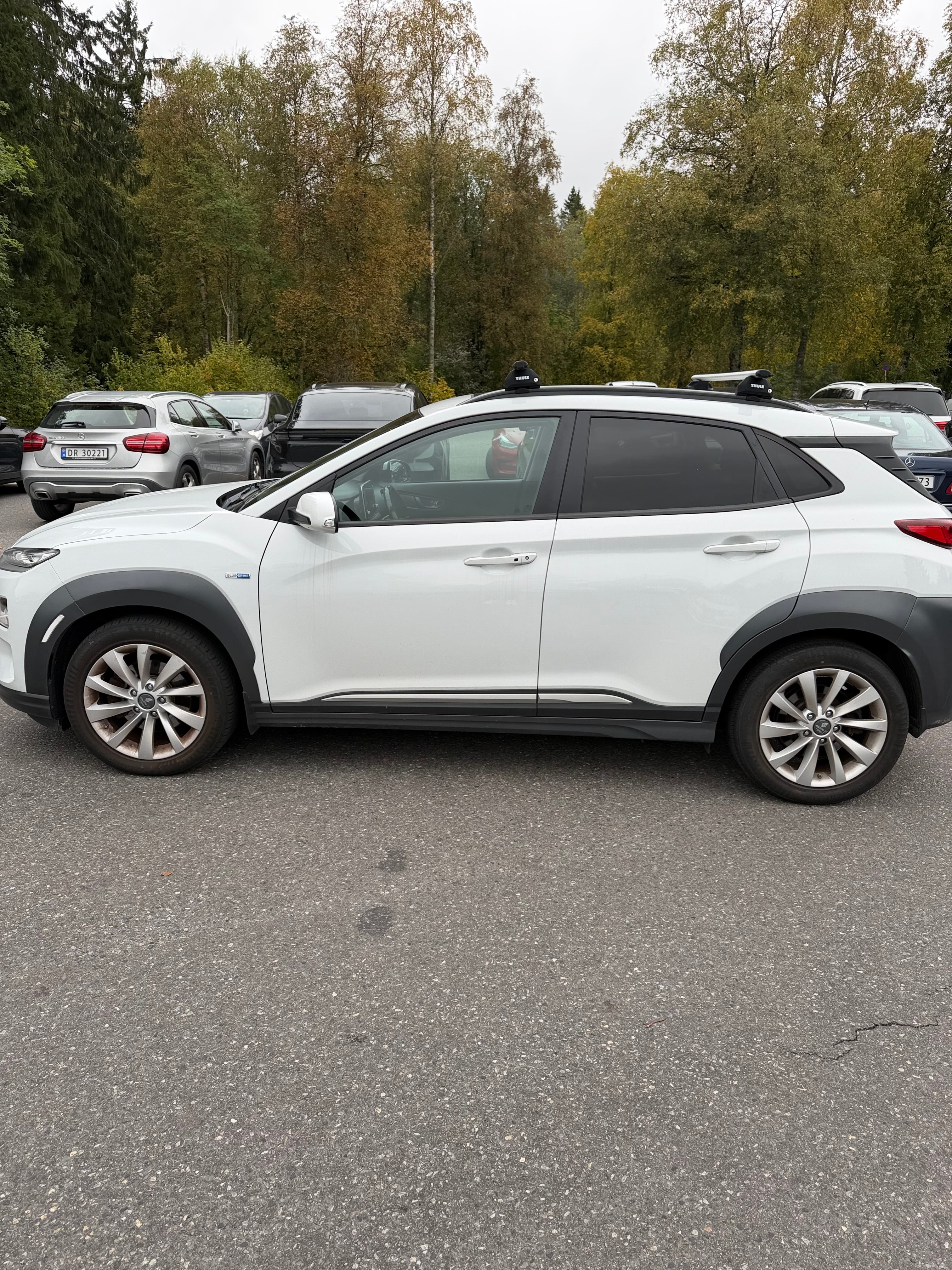 Hyundai Kona Electric Ultimate med Aircondition