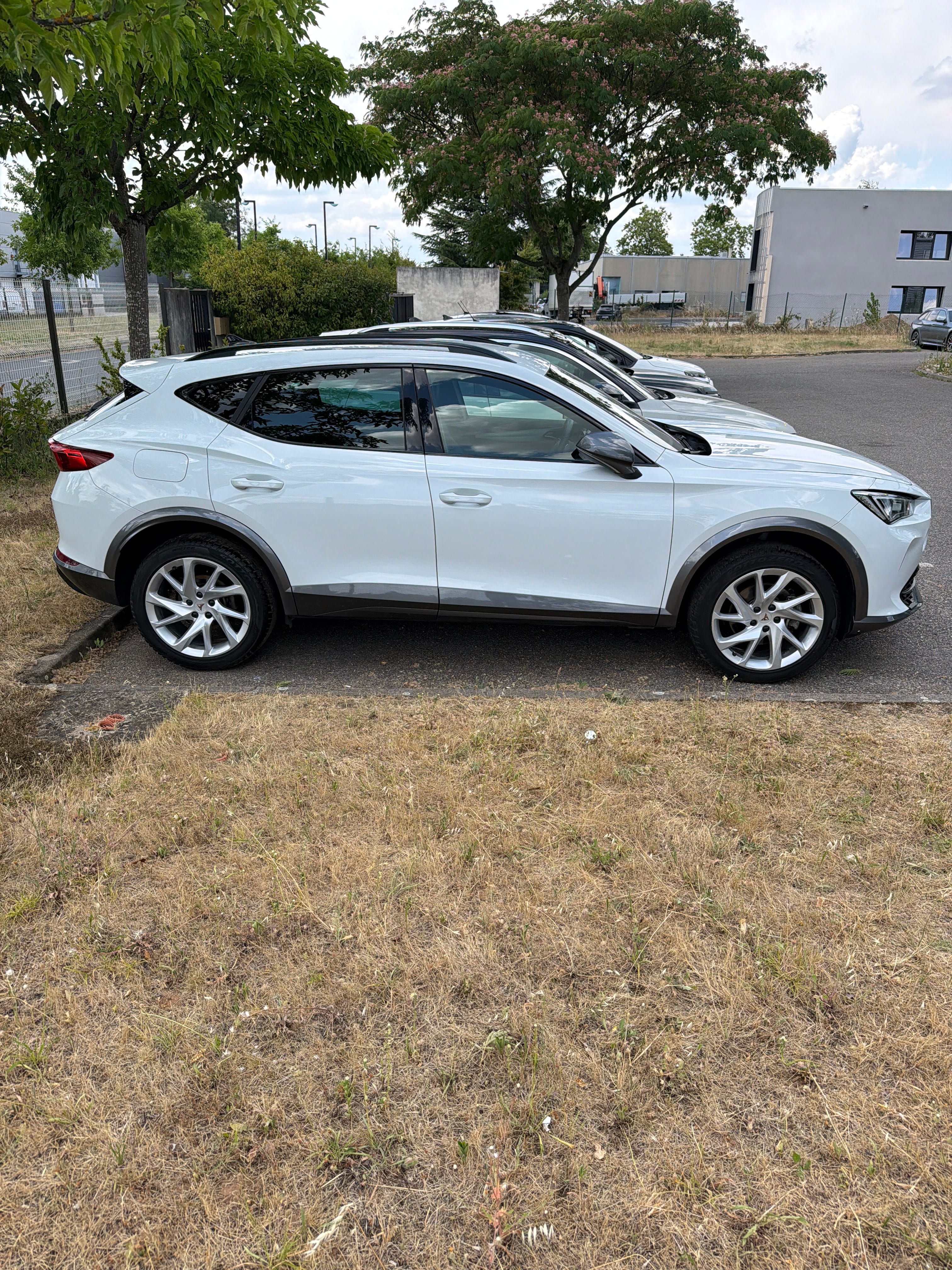 Cupra Formentor, 2024, Essence 95, automatique