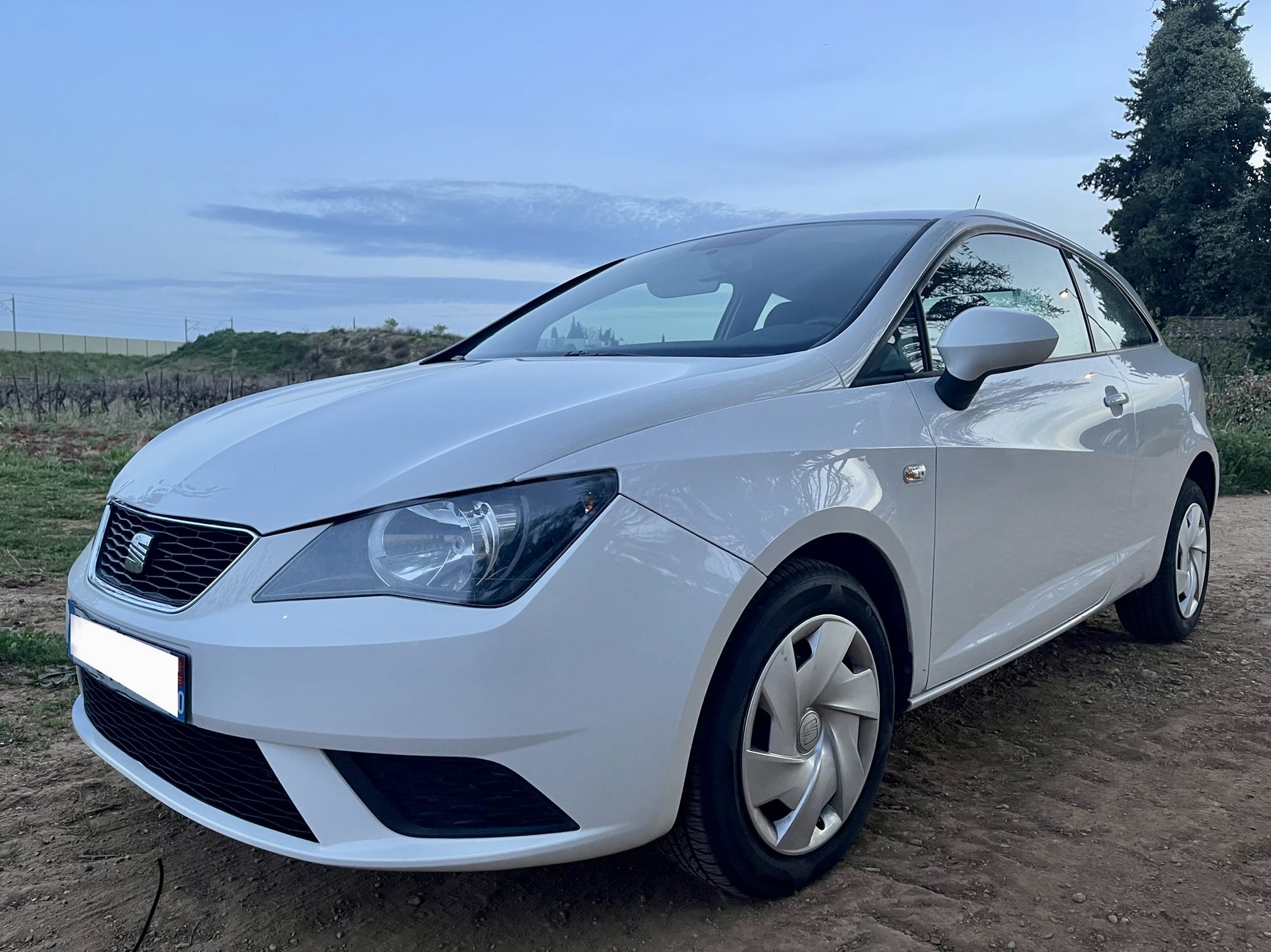 Seat Ibiza, 2013, Essence 95