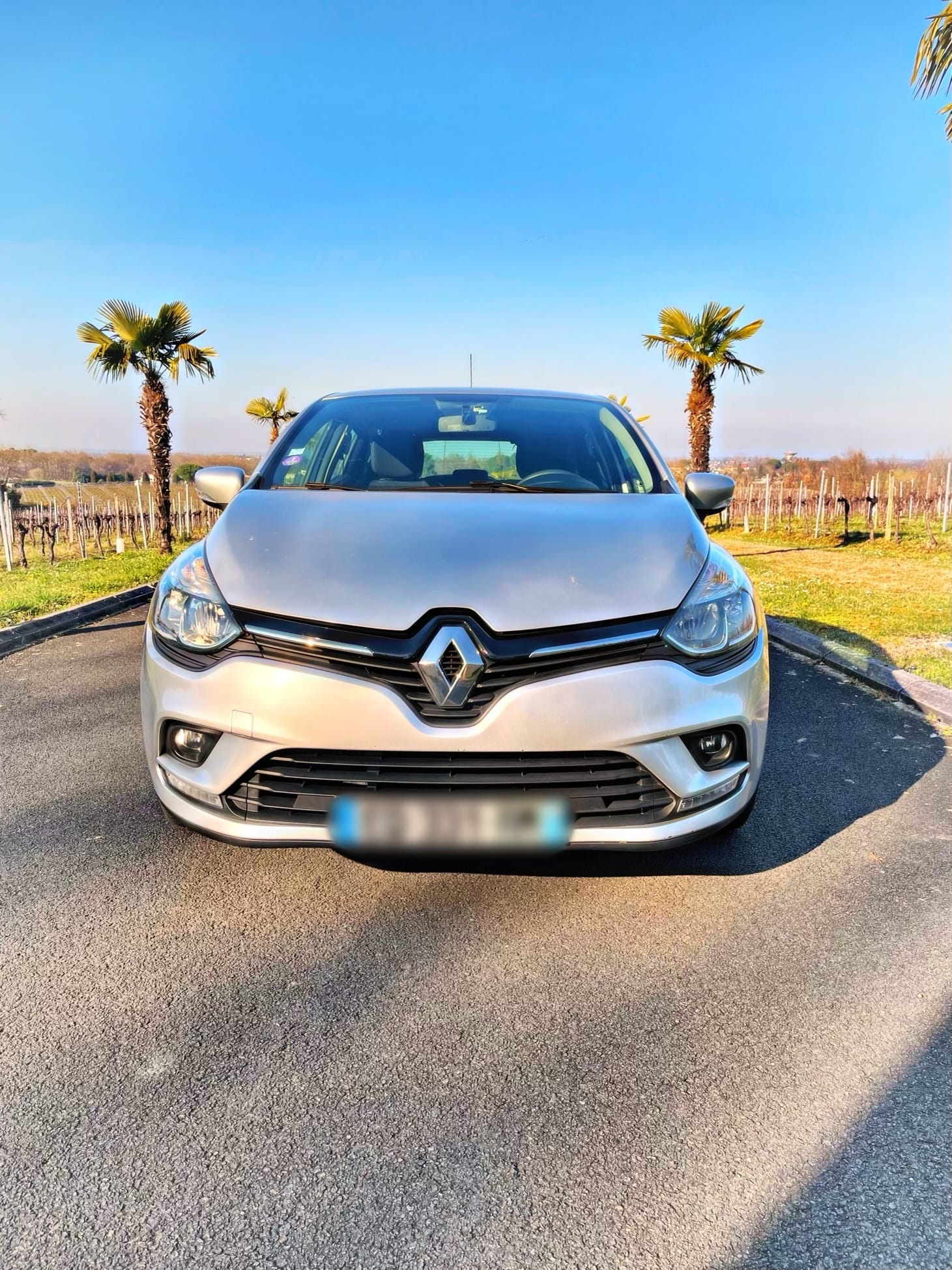 Renault Clio Es