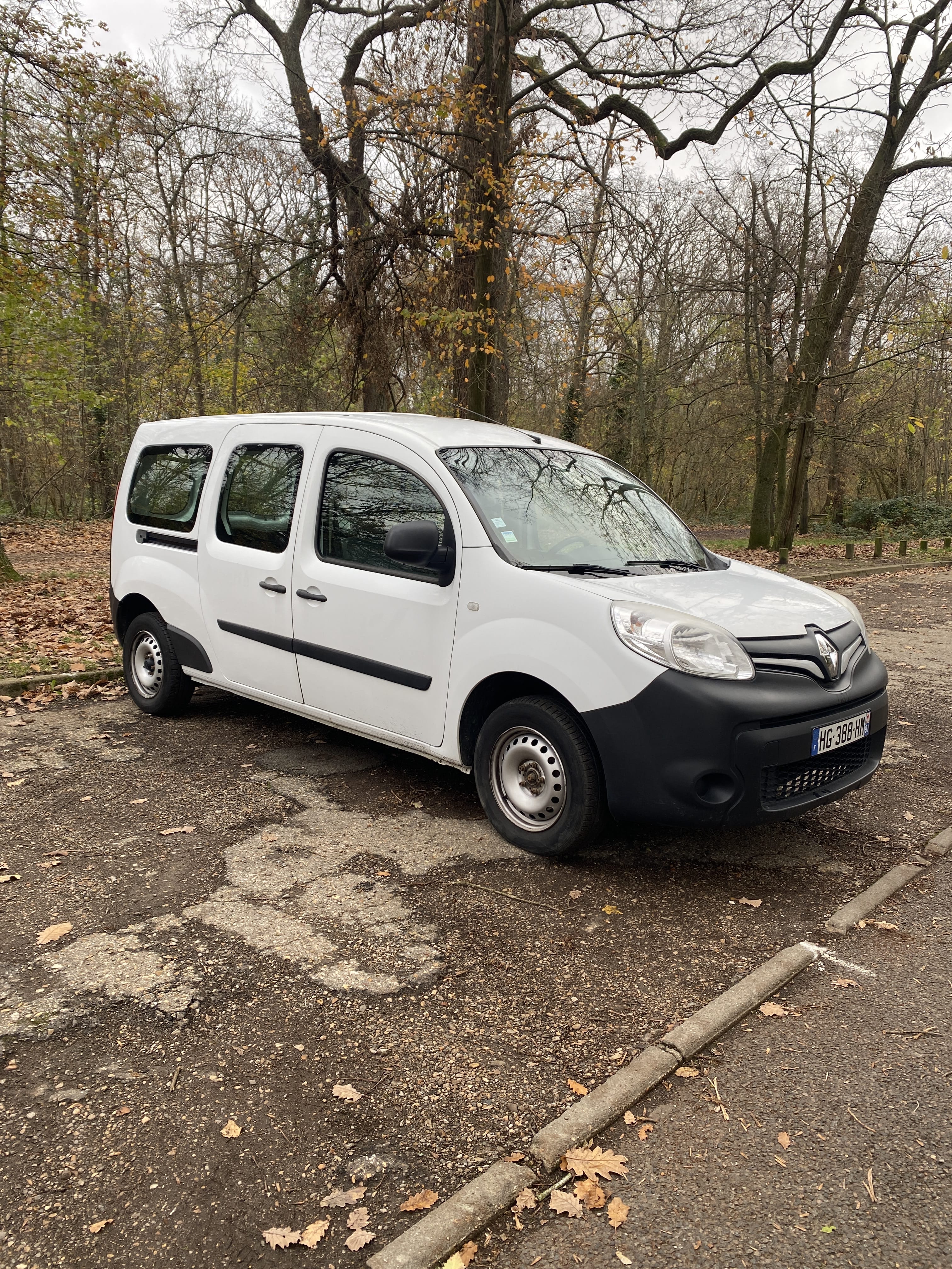 Renault Kangoo Fourgon grand volume, 2019, Diesel